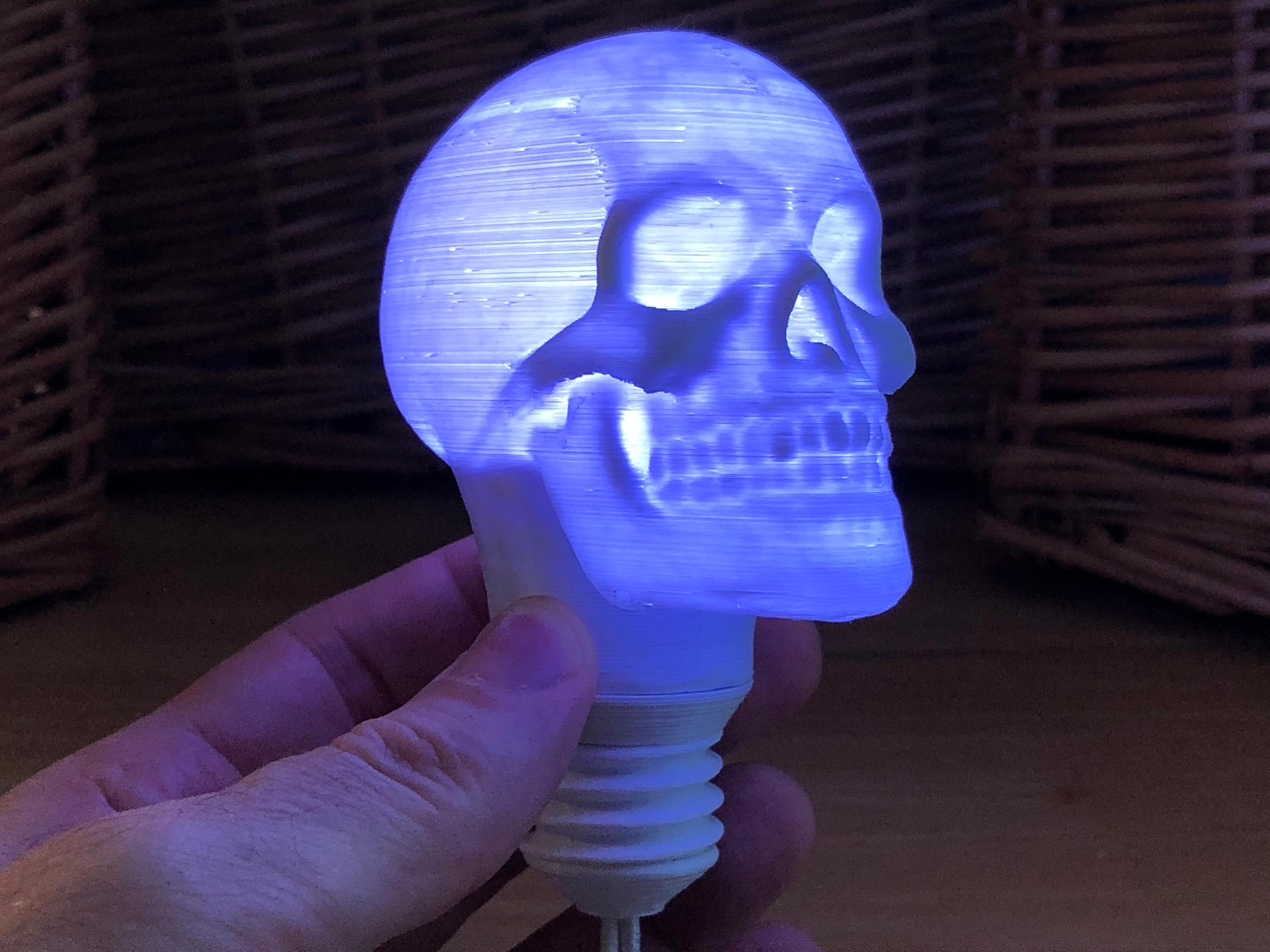 Skull Bulb (Solid) 3d model