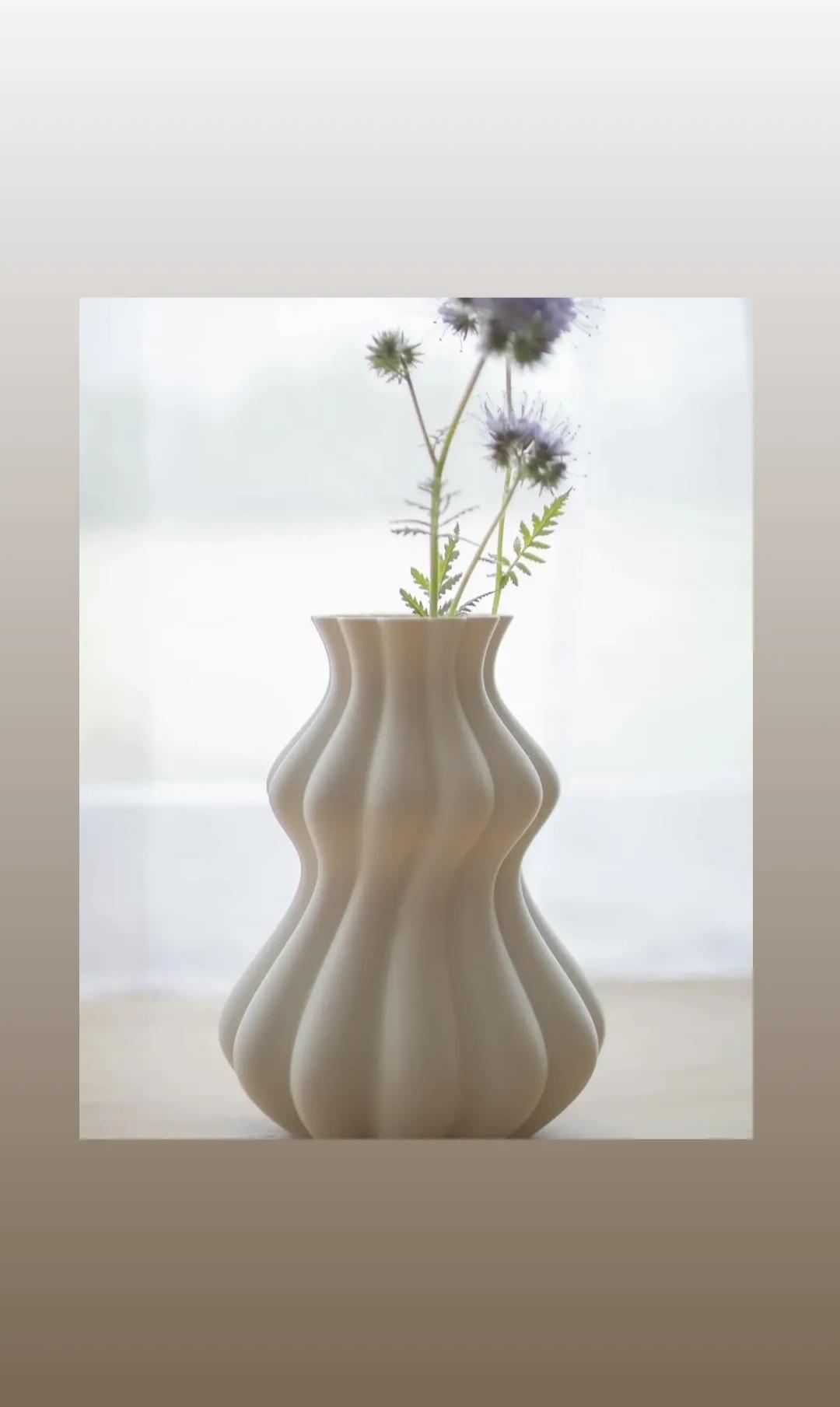 Vase 2.2.1 3d model