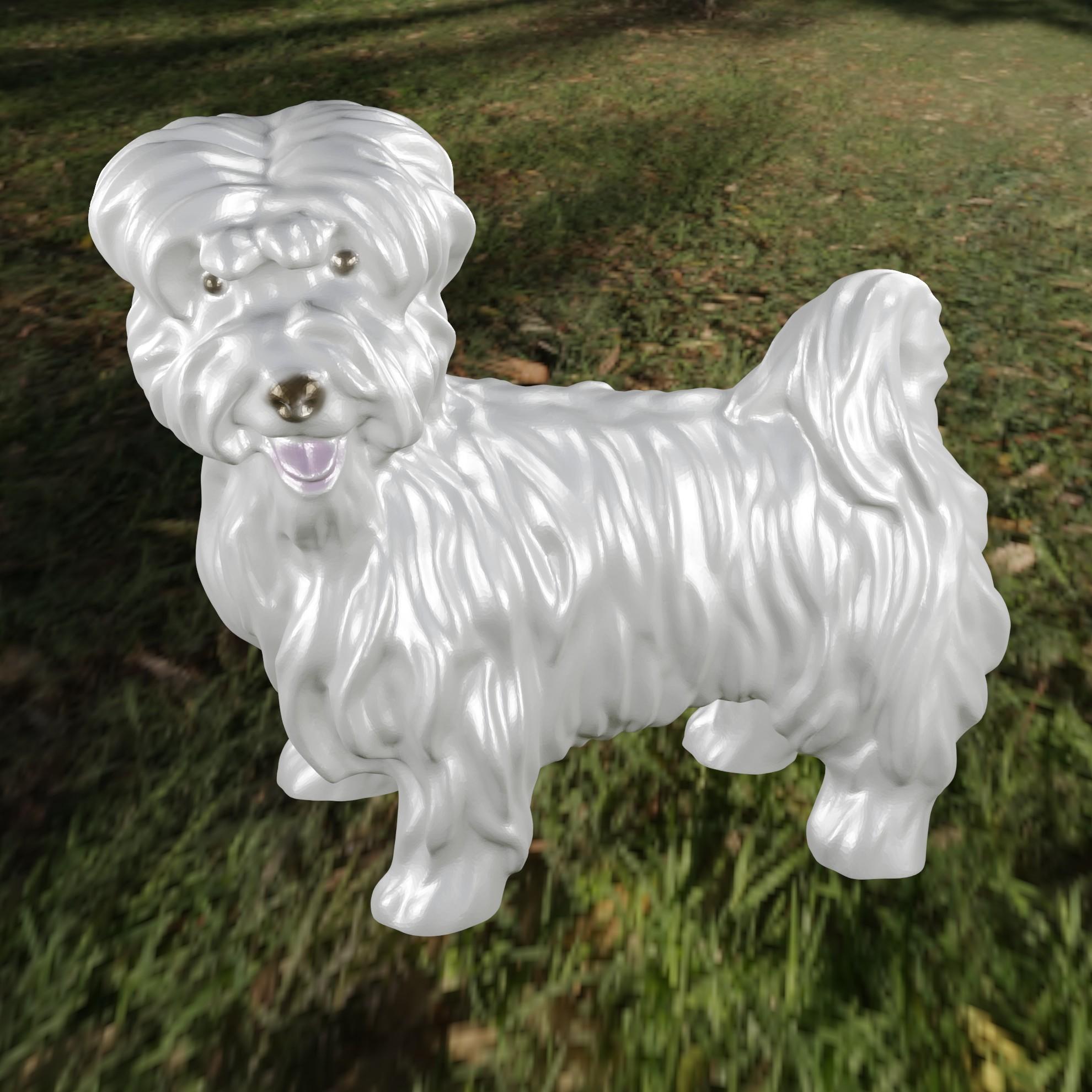 Dog Bichon 1 3d model