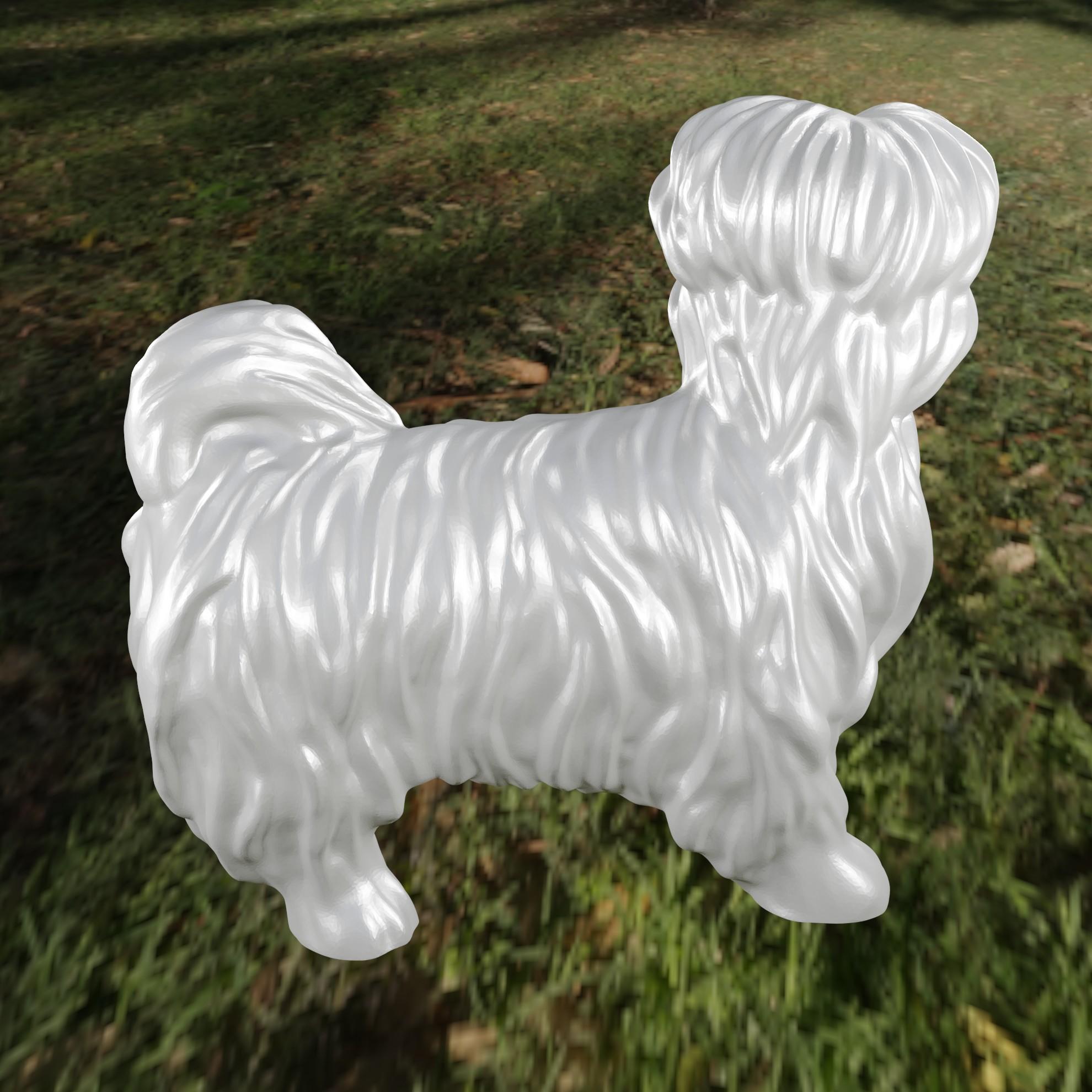 Dog Bichon 1 3d model