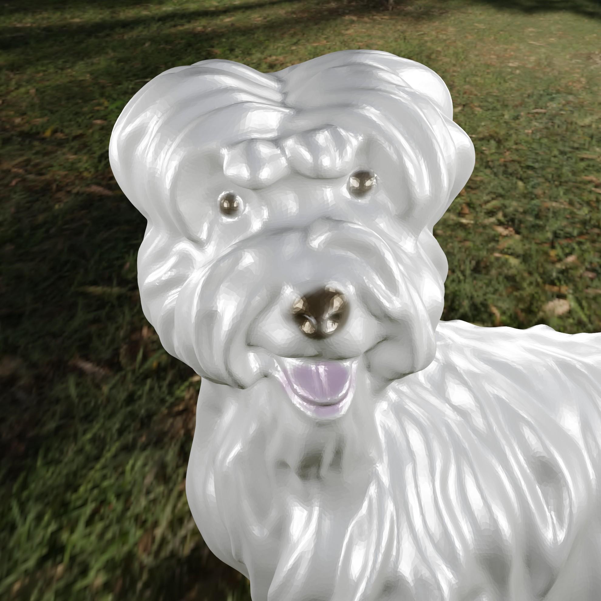 Dog Bichon 1 3d model