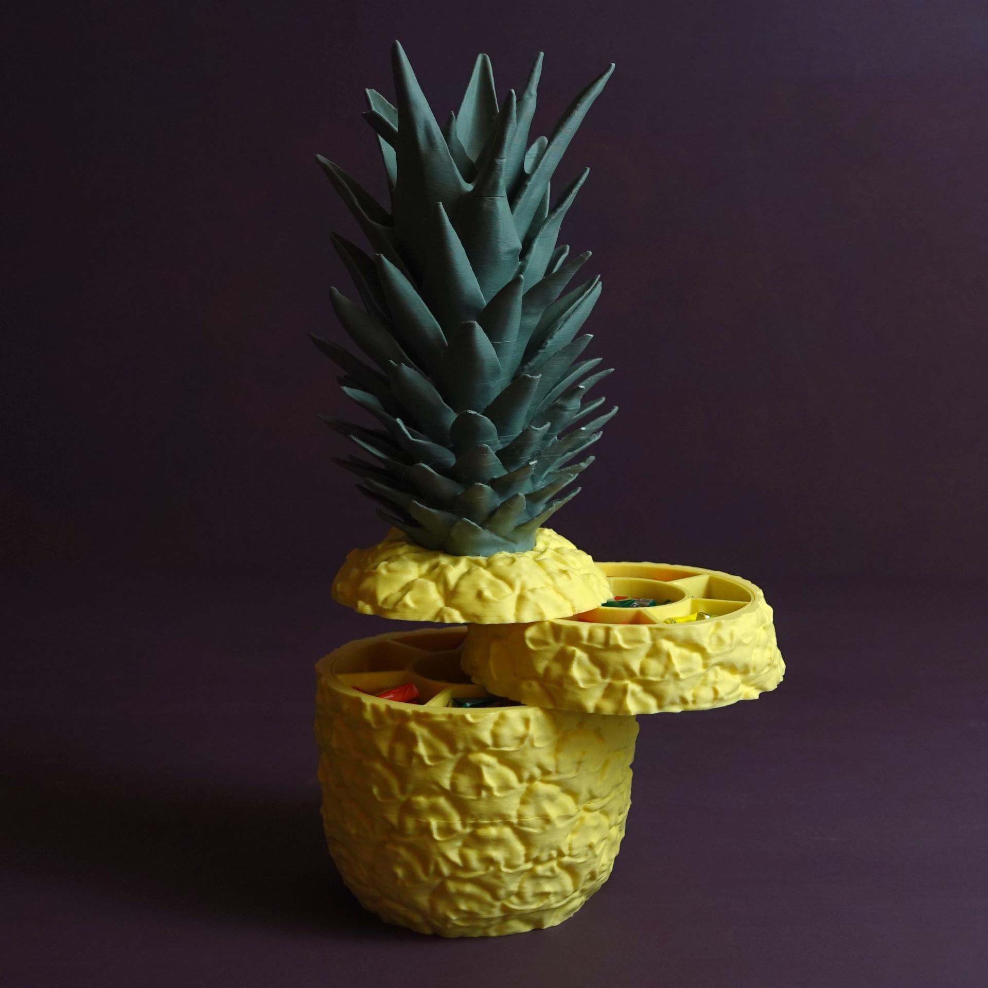 Sliced Ananas 3d model