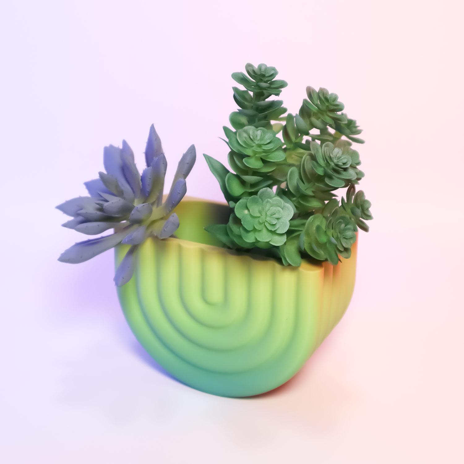 Wall Mounted Rainbow Planter 3d model