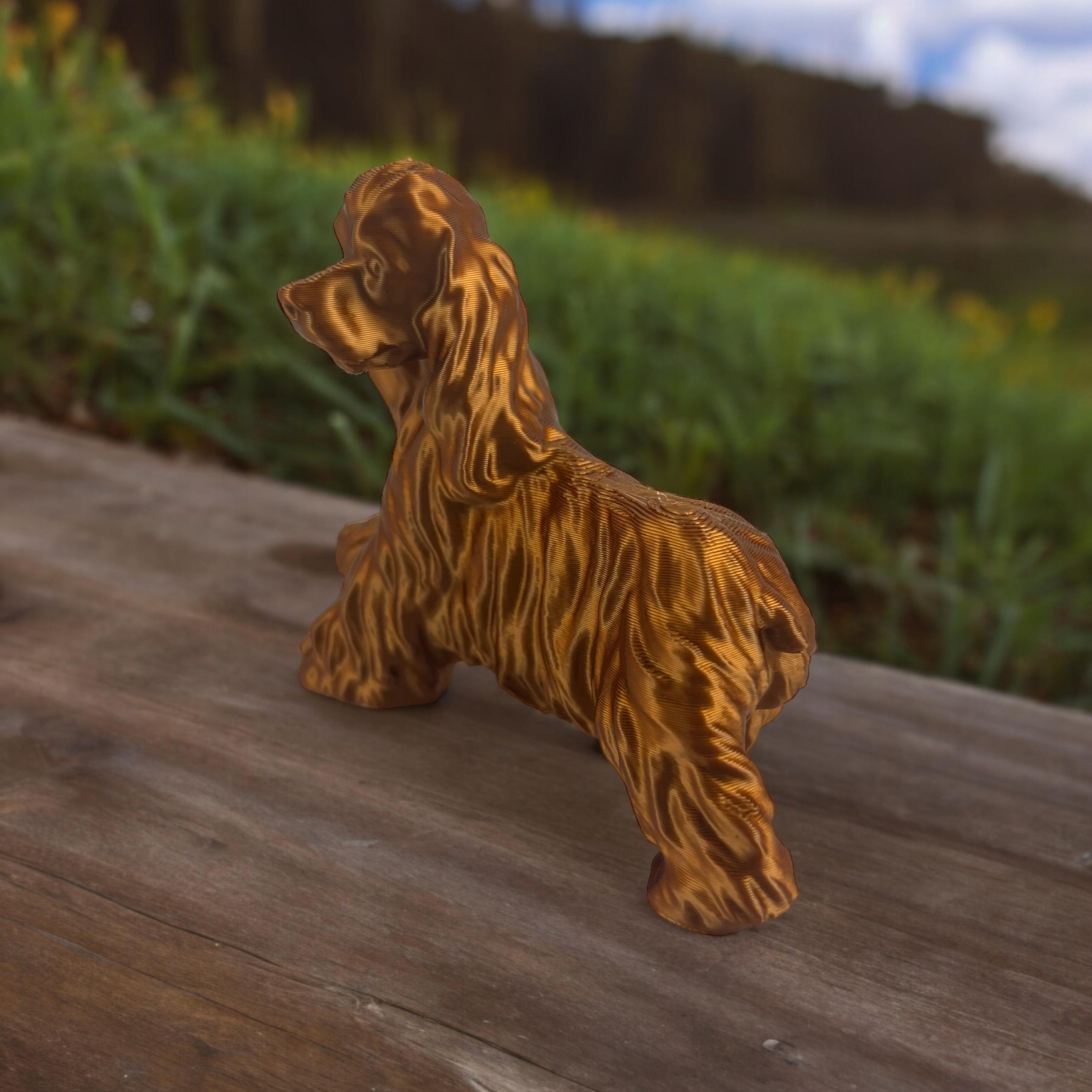 cocker spaniel big 3d model