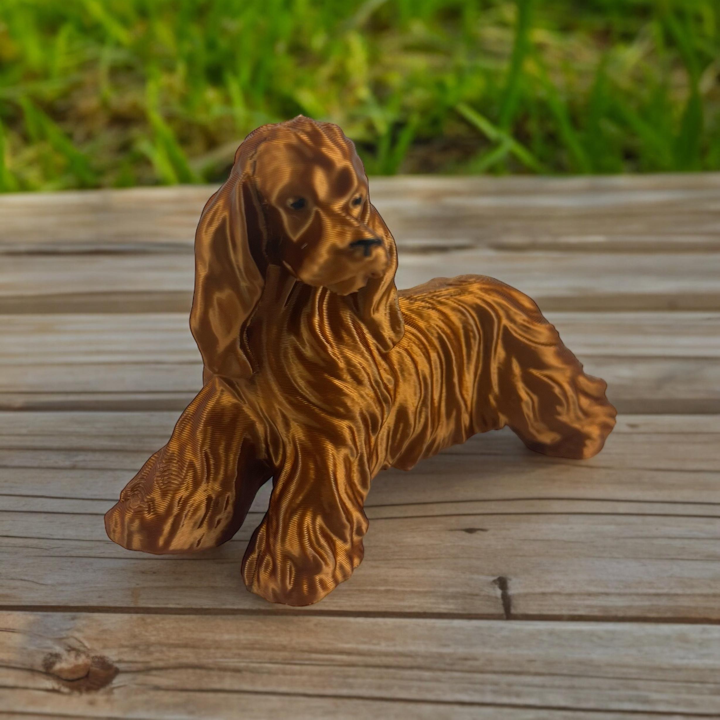 cocker spaniel big 3d model