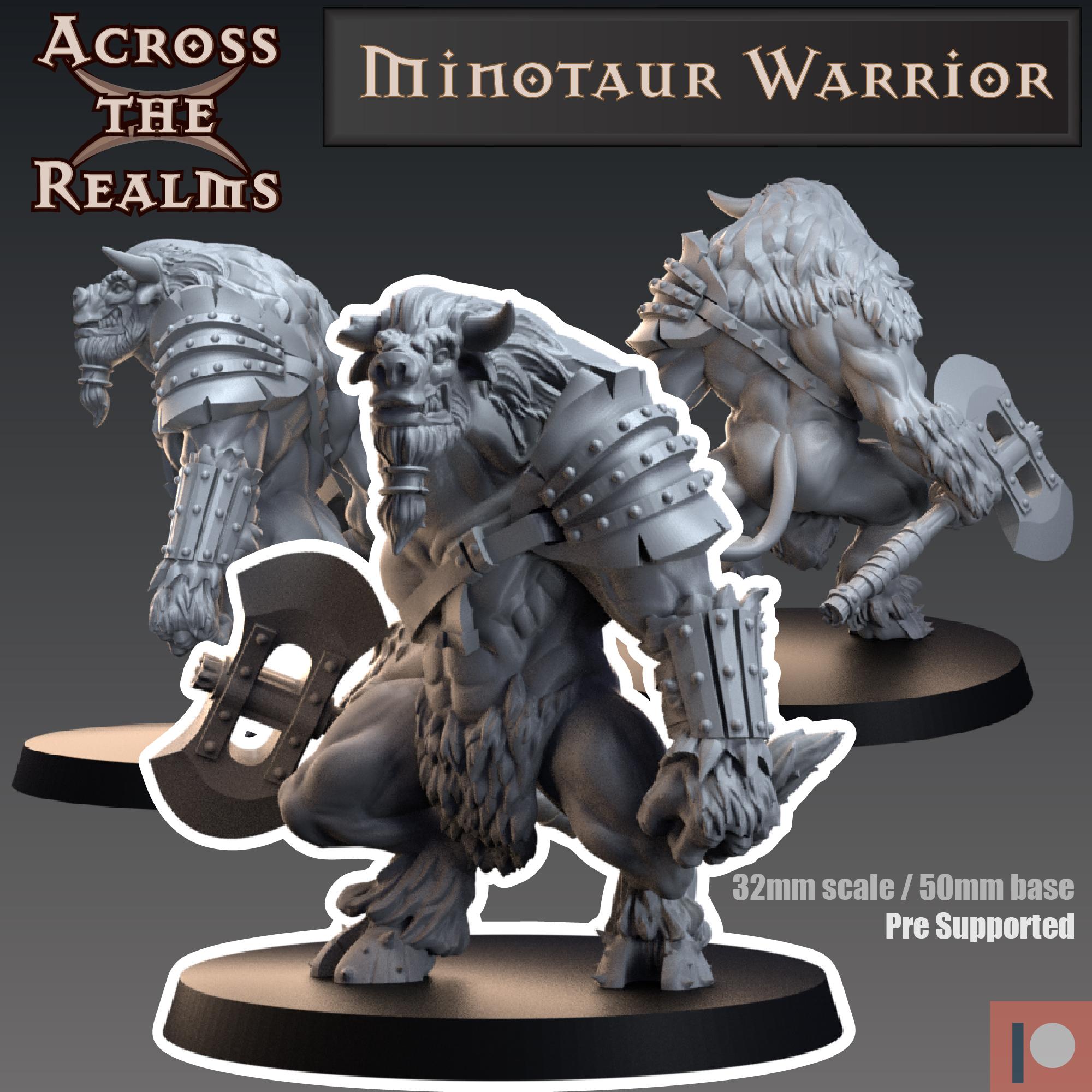 Minotaur Warrior 3d model