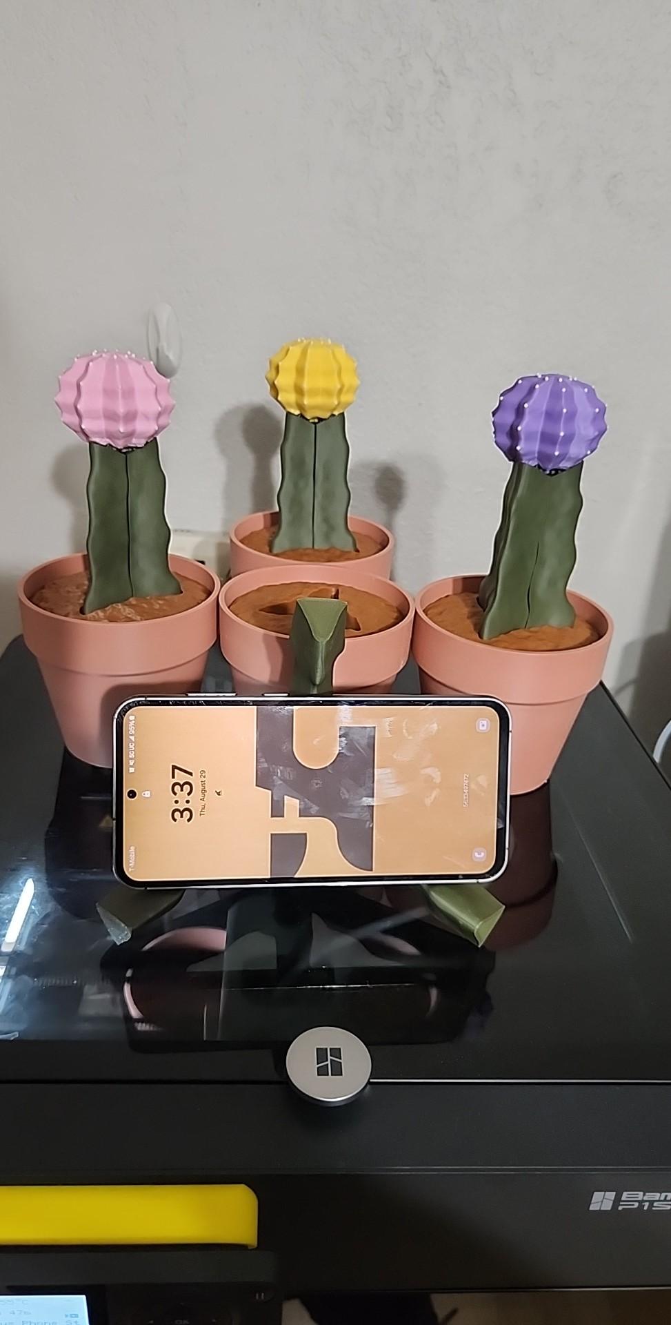 Phoney Cactus - The Moon Cactus Phone Stand - Fast easy print i used elegoo matte for the cactus top and eryone olive for the stem.

My pots are giant arm terracotta and the dirt is elegoo matte brown.
Very fun and easy print.
 - 3d model