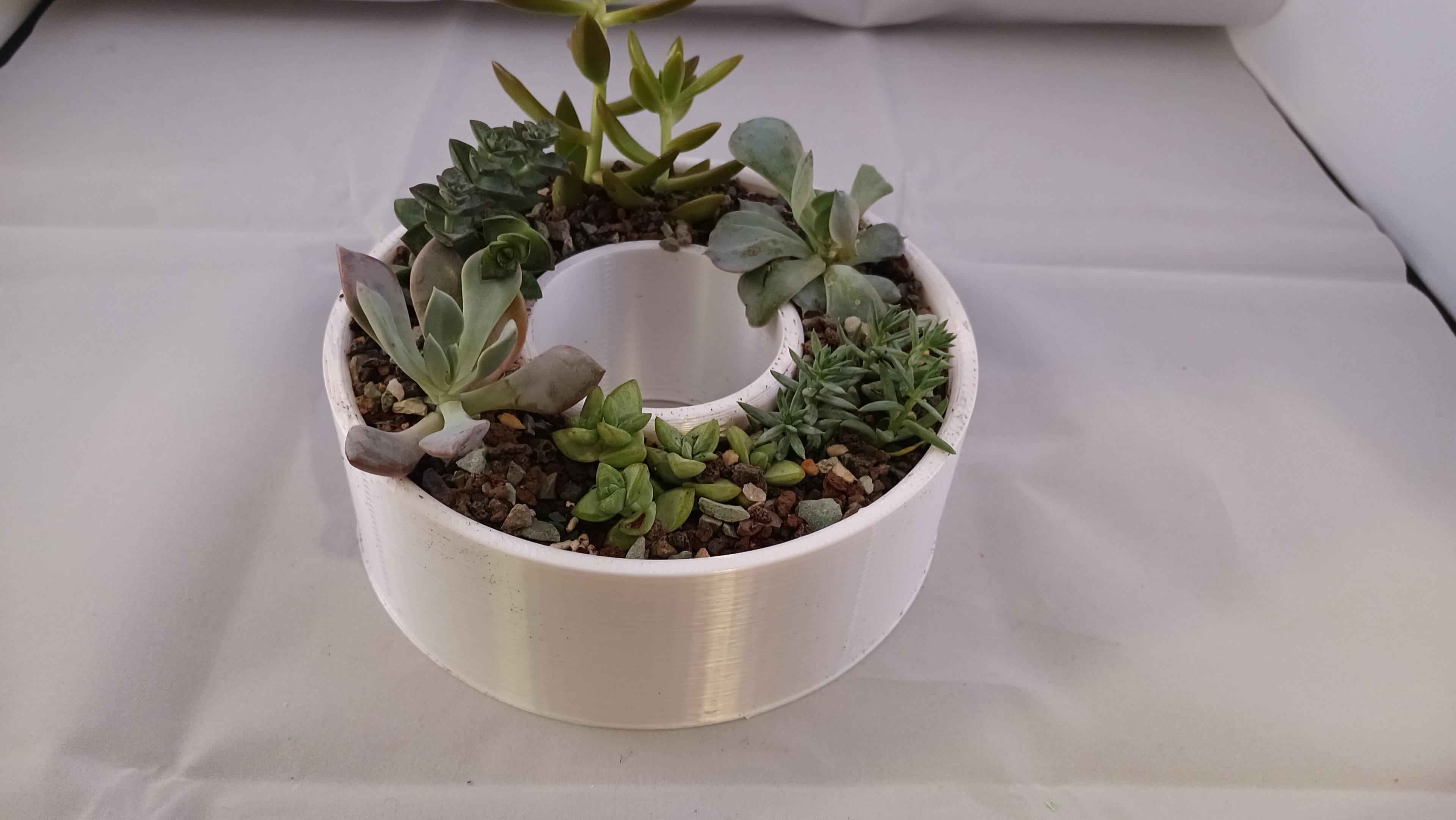 multi succulent planter with inner and outter ring or Succulent planter pot desk organizer  3d model