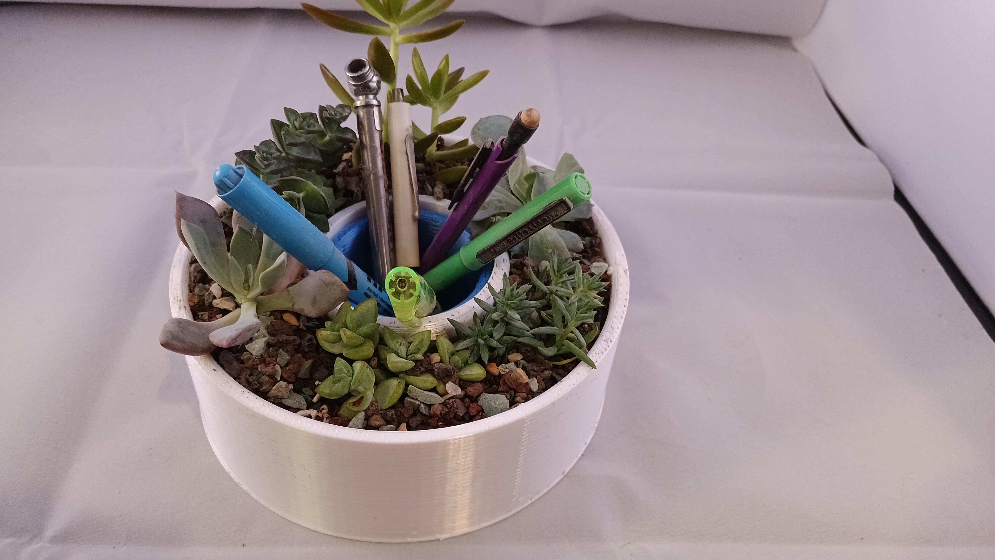 multi succulent planter with inner and outter ring or Succulent planter pot desk organizer  3d model