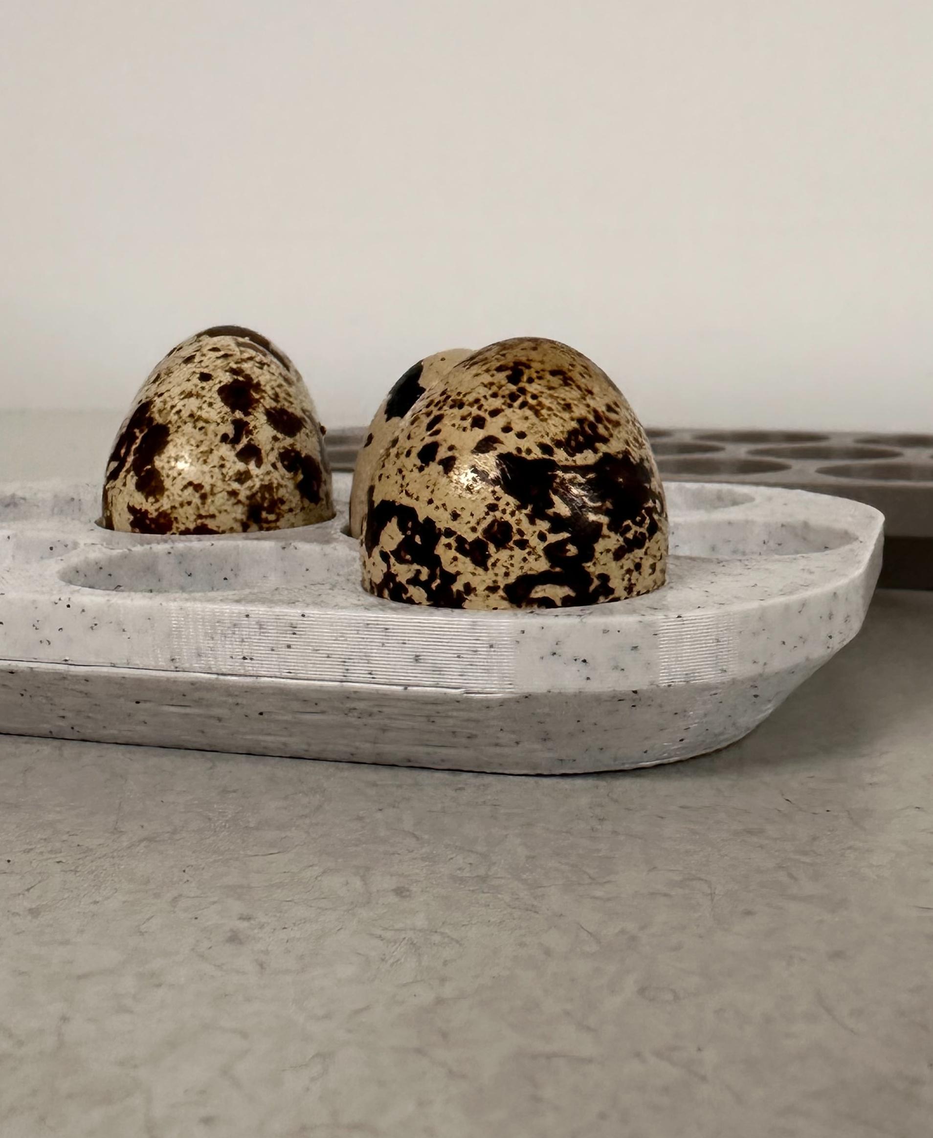 19 Quail Egg Tray 3d model