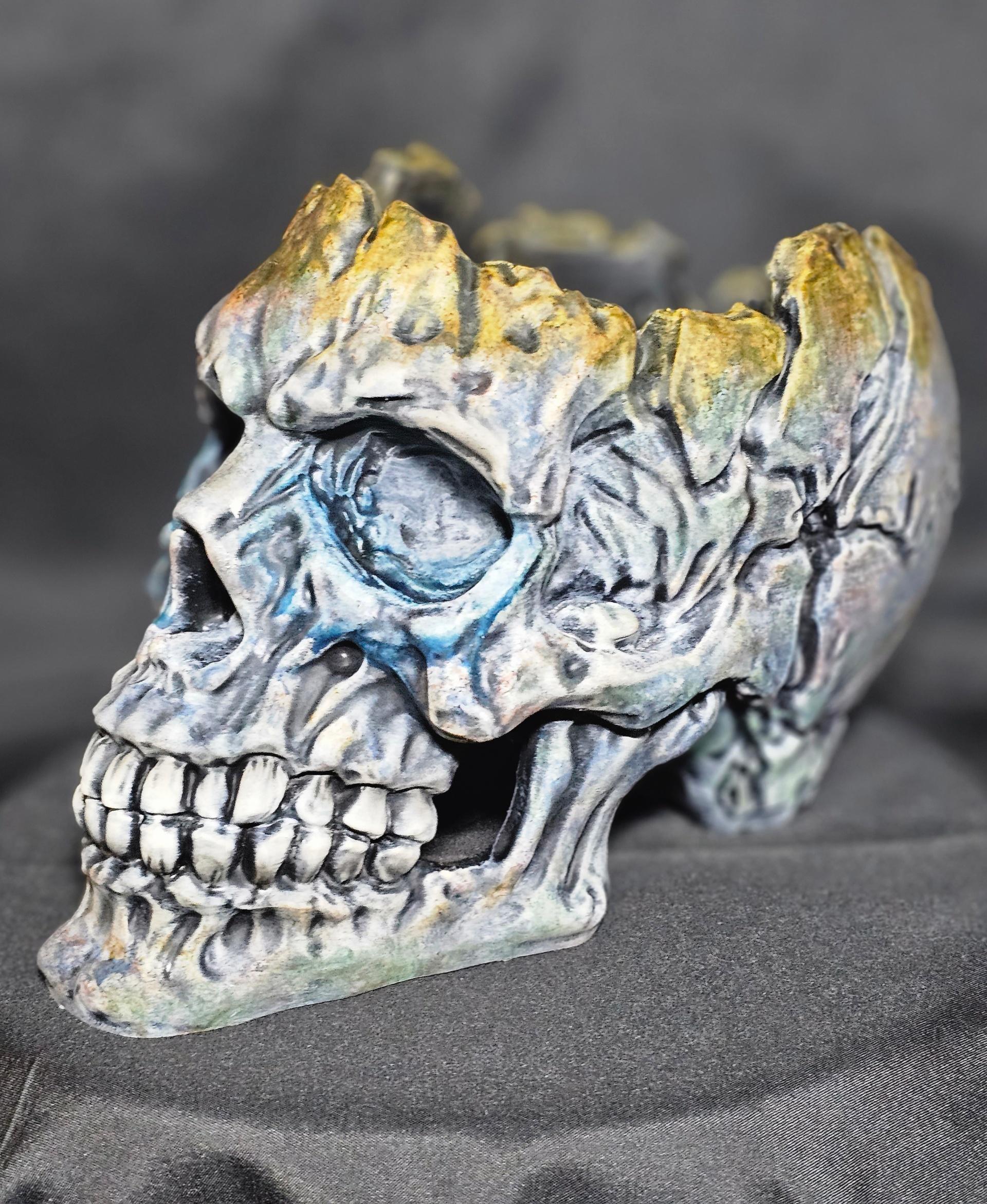 Hollow Skull  3d model