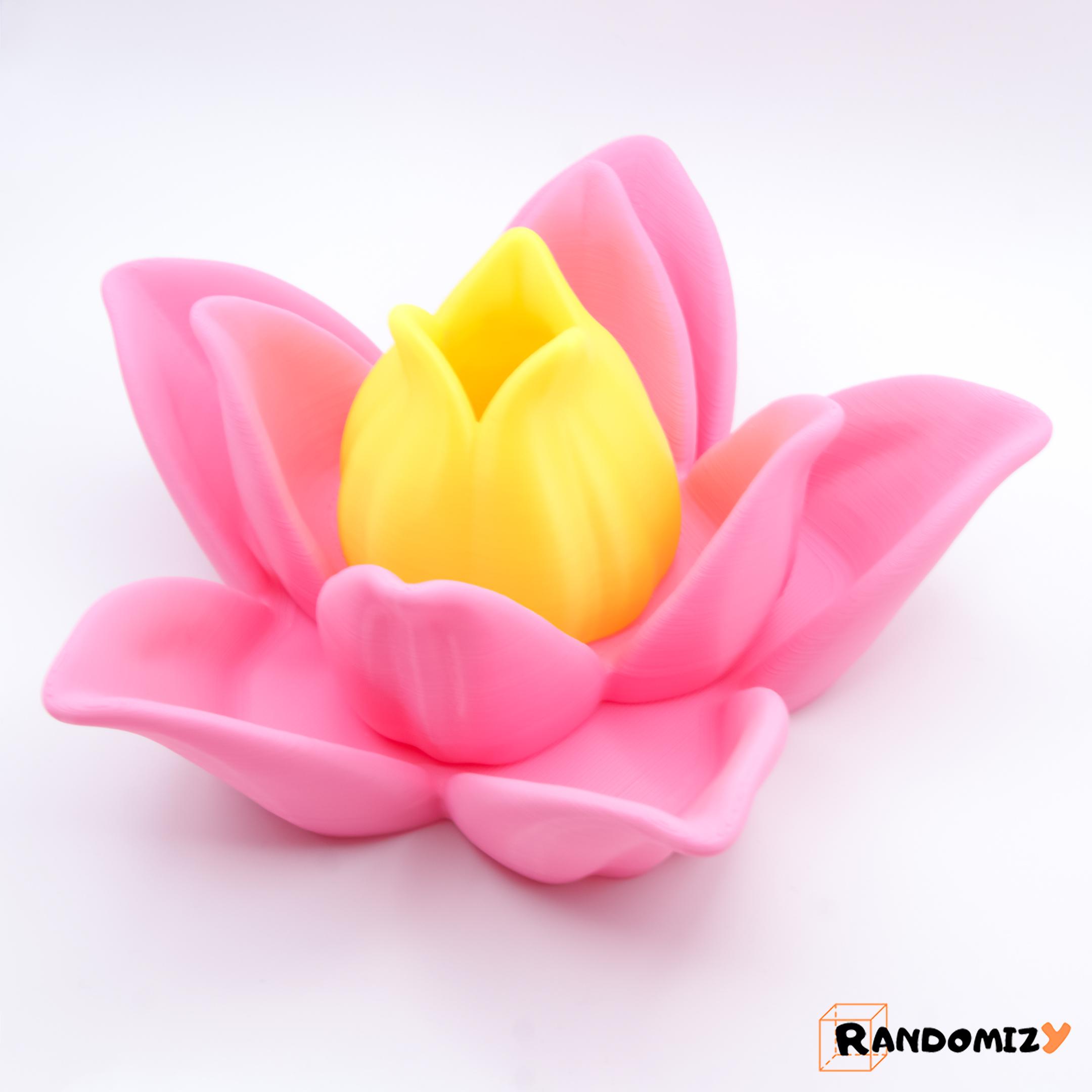 (Multifunctional) Lotus Flower 3d model