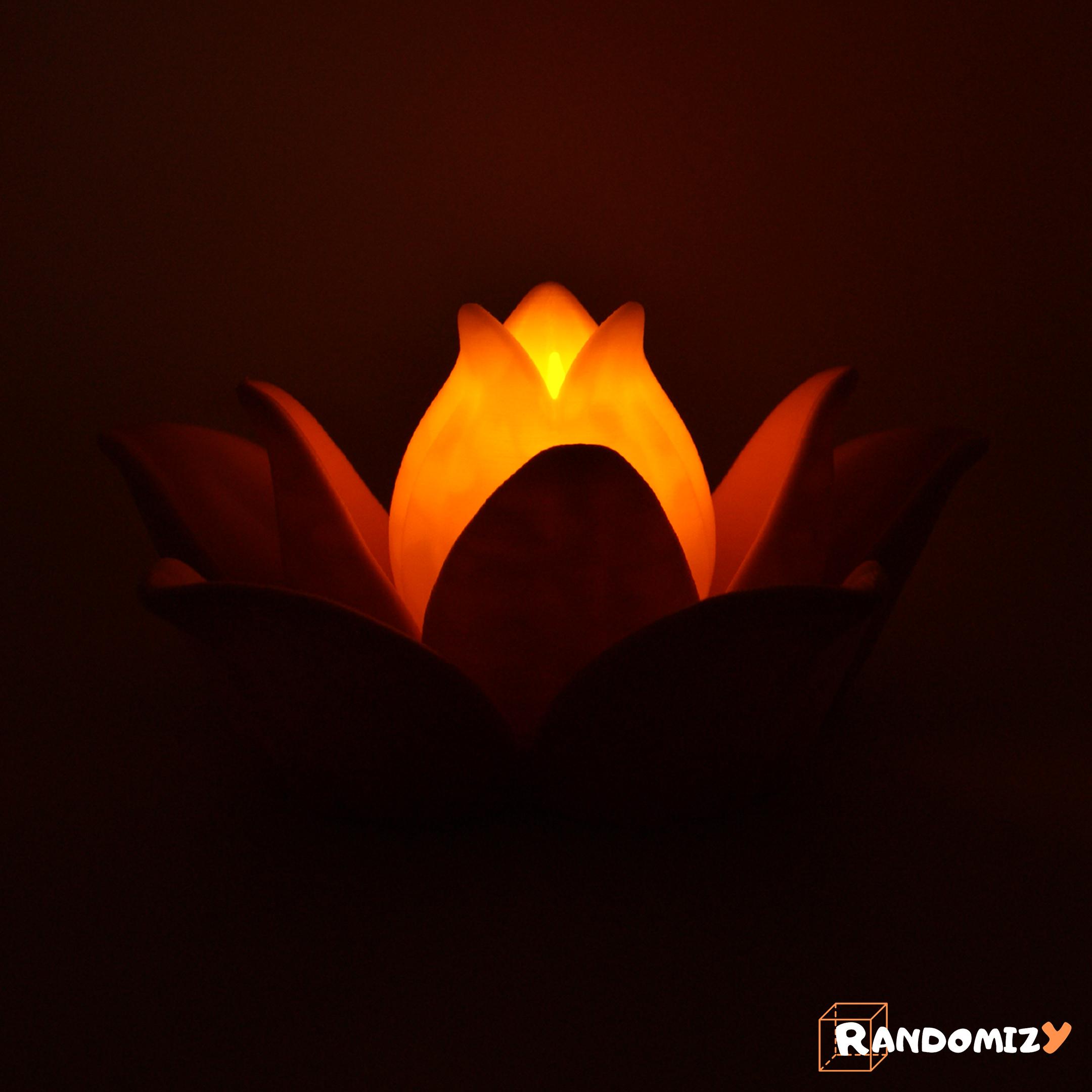 (Multifunctional) Lotus Flower 3d model