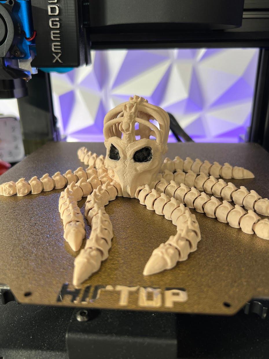 Octopus Skeleton 3d model