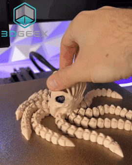Octopus Skeleton 3d model