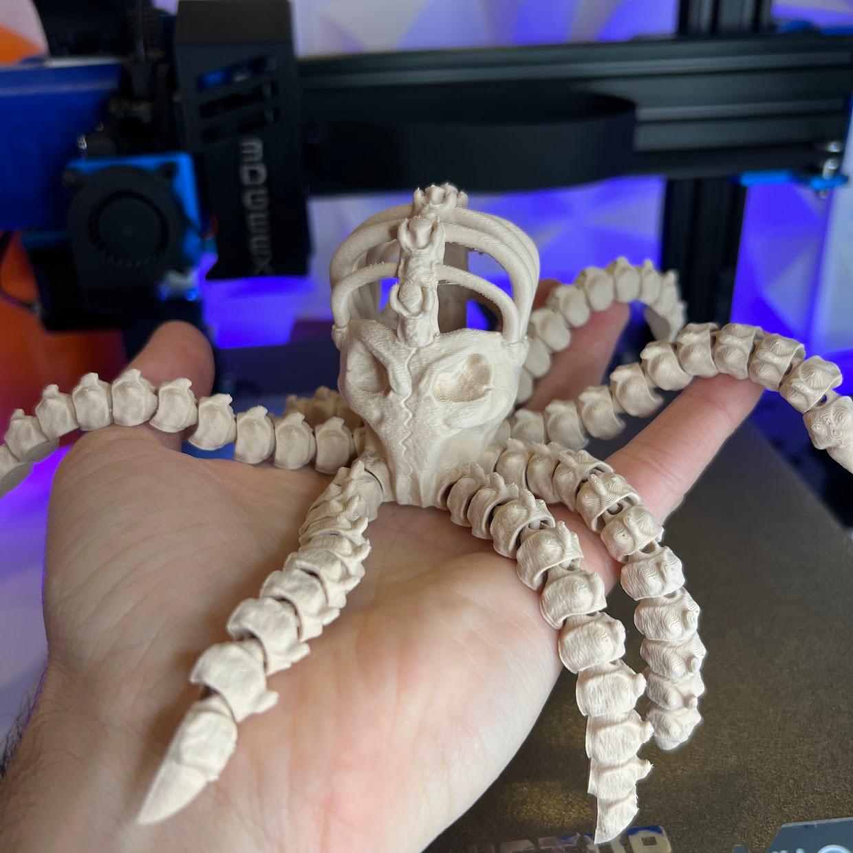 Octopus Skeleton 3d model