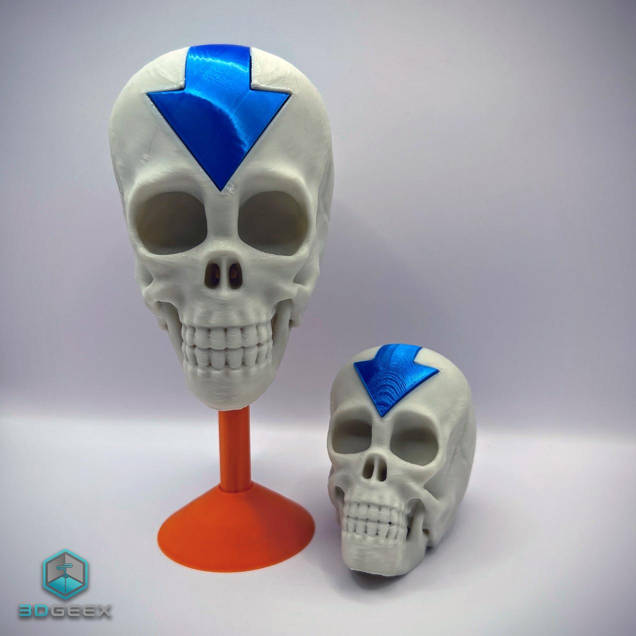 AVATAR: The Last Airbender Skull 3d model