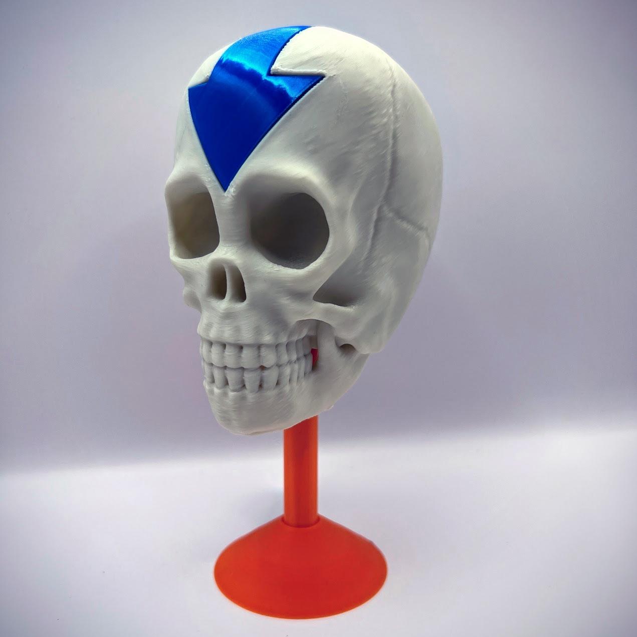AVATAR: The Last Airbender Skull 3d model