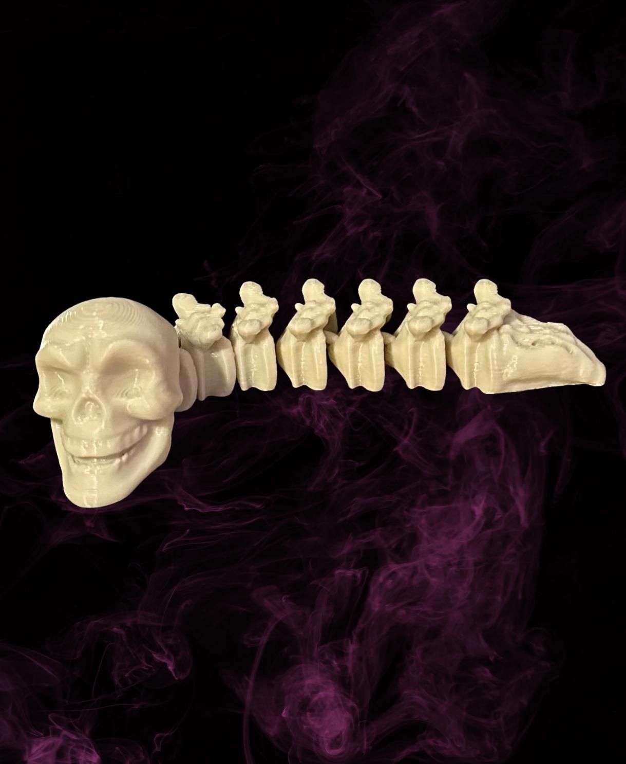Skele-Spine - Articulated Snap-Flex Fidget (Tight Joints) - Inland bone filament - 3d model