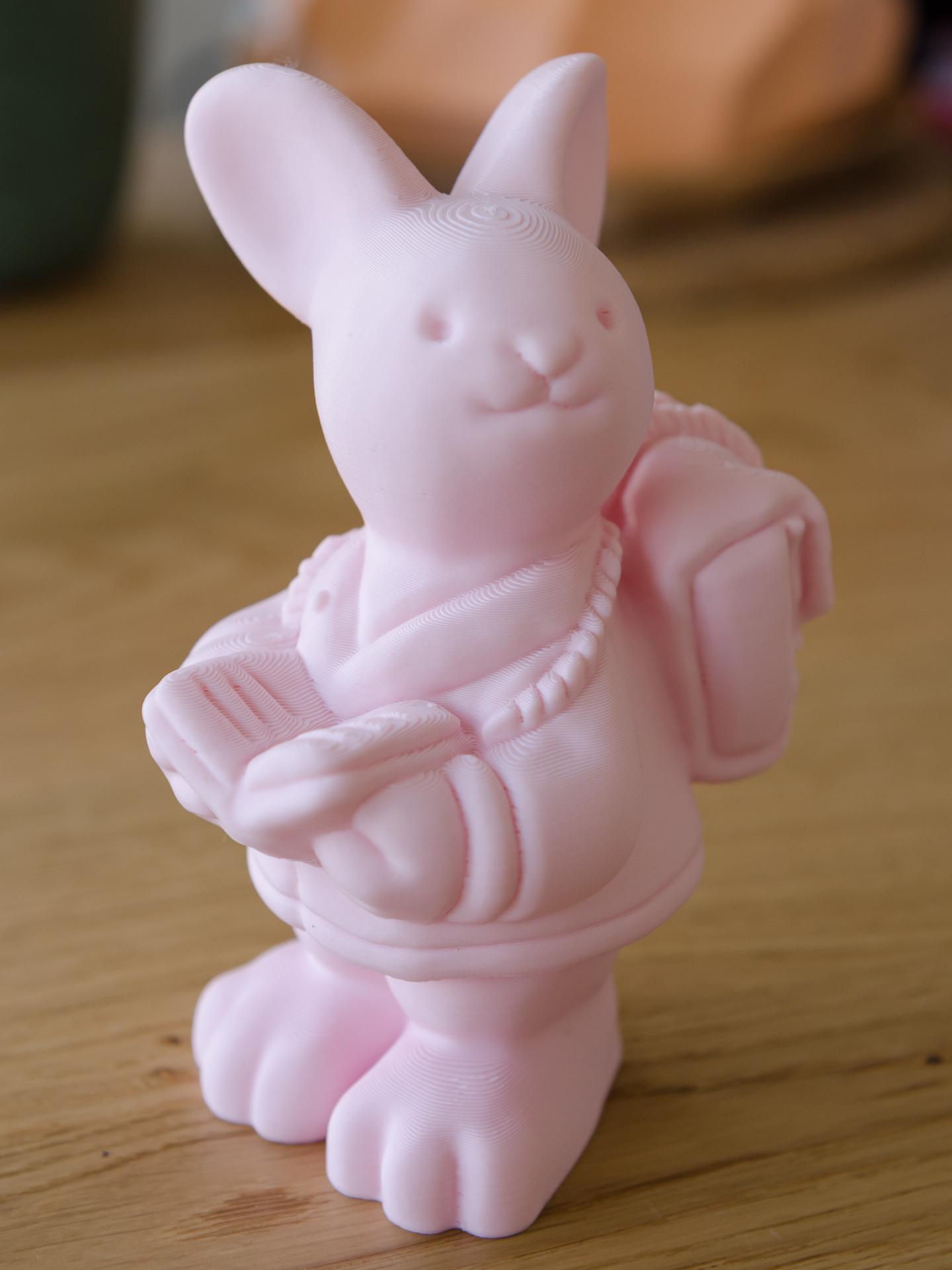 Book Lover Bunny (2) - printed on modified Prusa i3 Mk3 with Polymaker PolyTerra PLA "candy" - 3d model