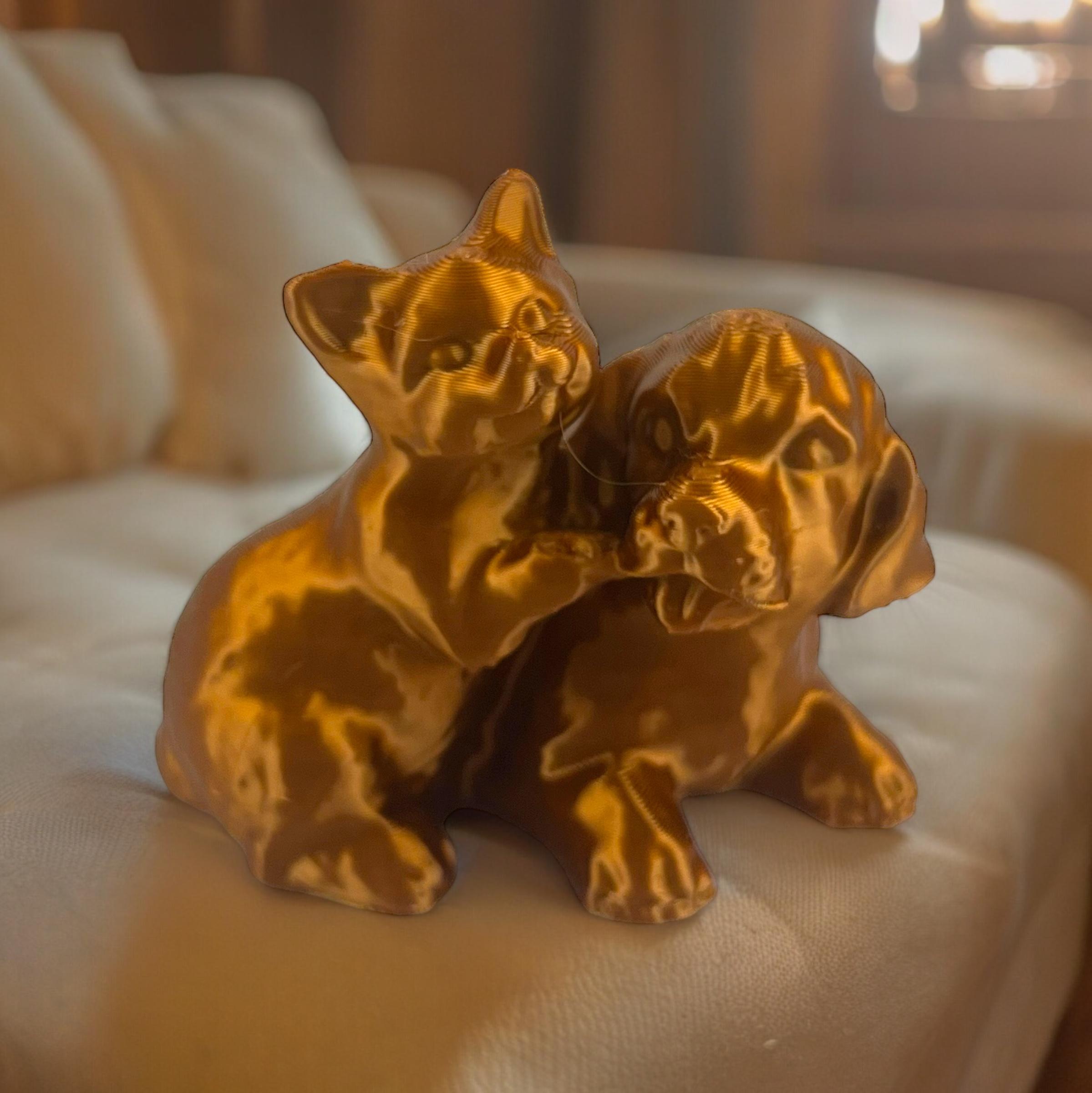 cat and golden retriever 3d model