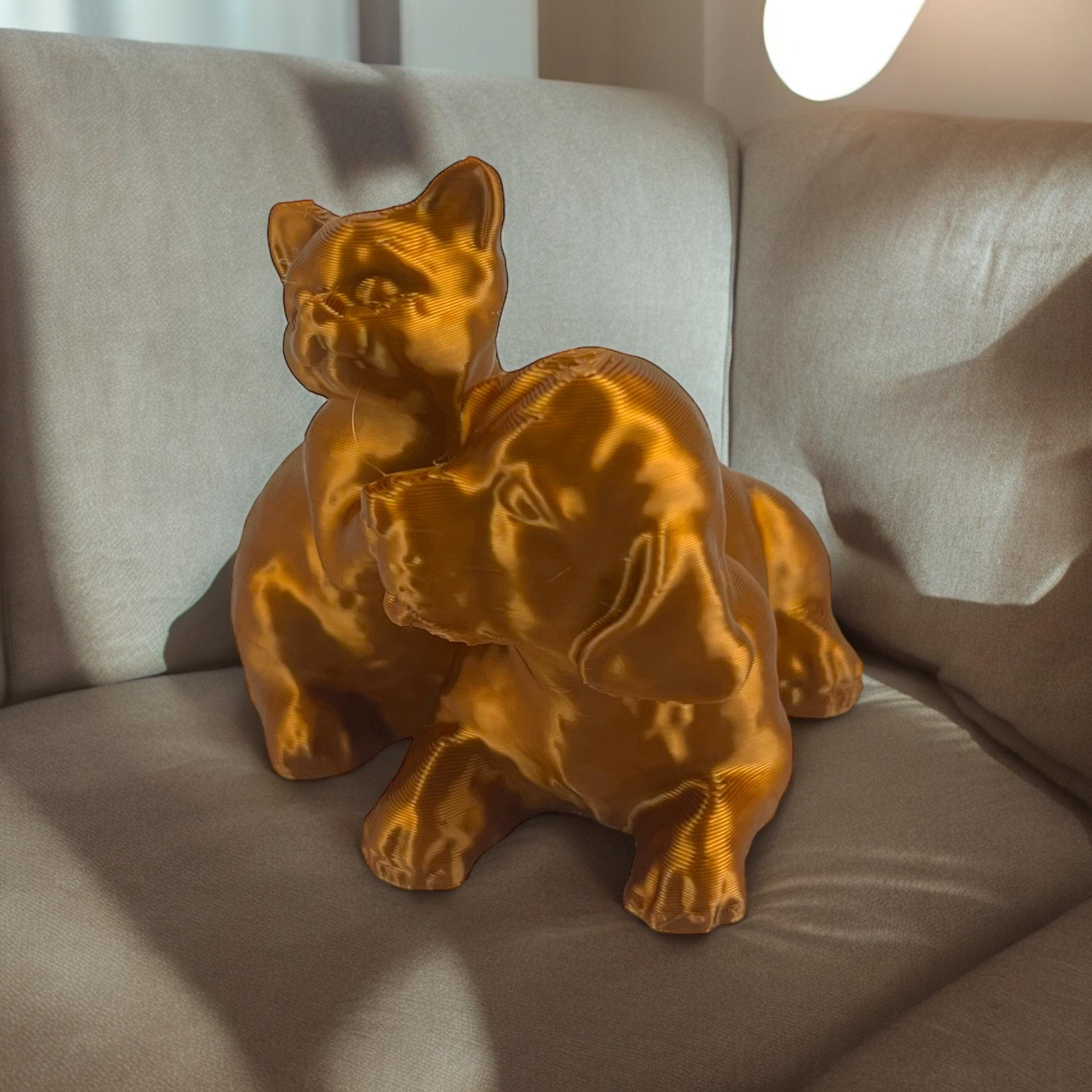 cat and golden retriever 3d model