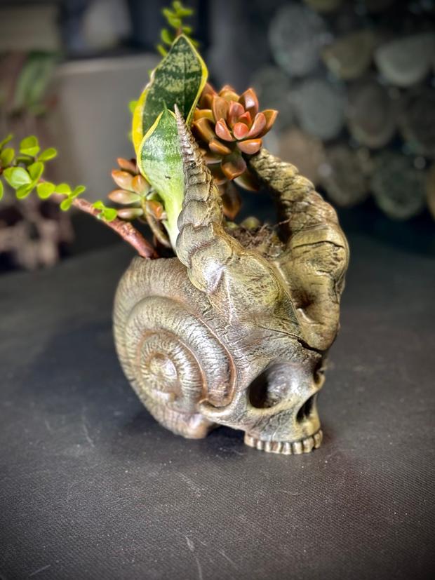 Skull of the demon snail planter.stl 3d model