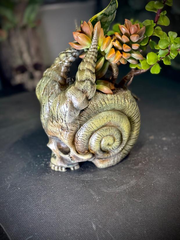 Skull of the demon snail planter.stl 3d model