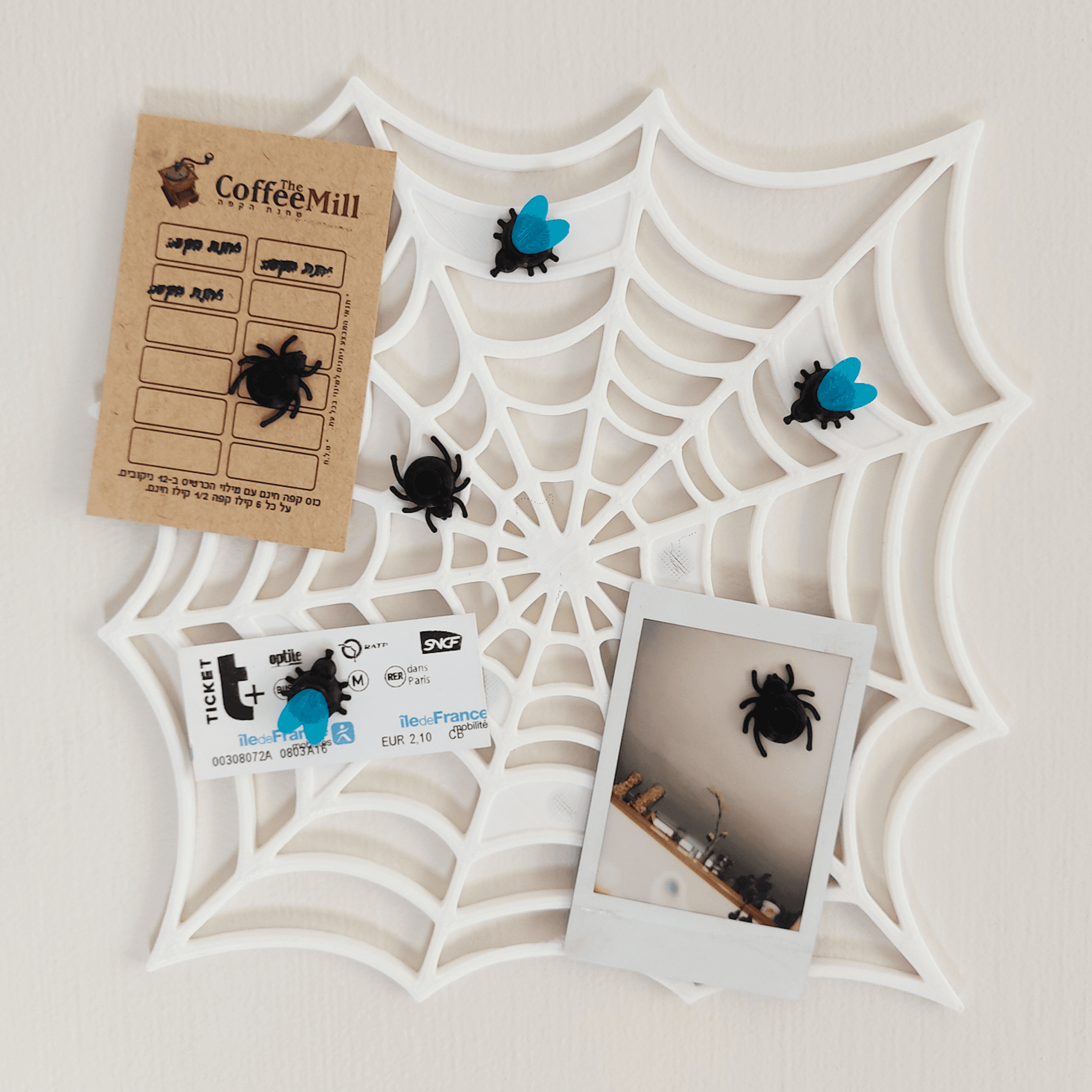 Spiderweb Picture Memory Board 3d model