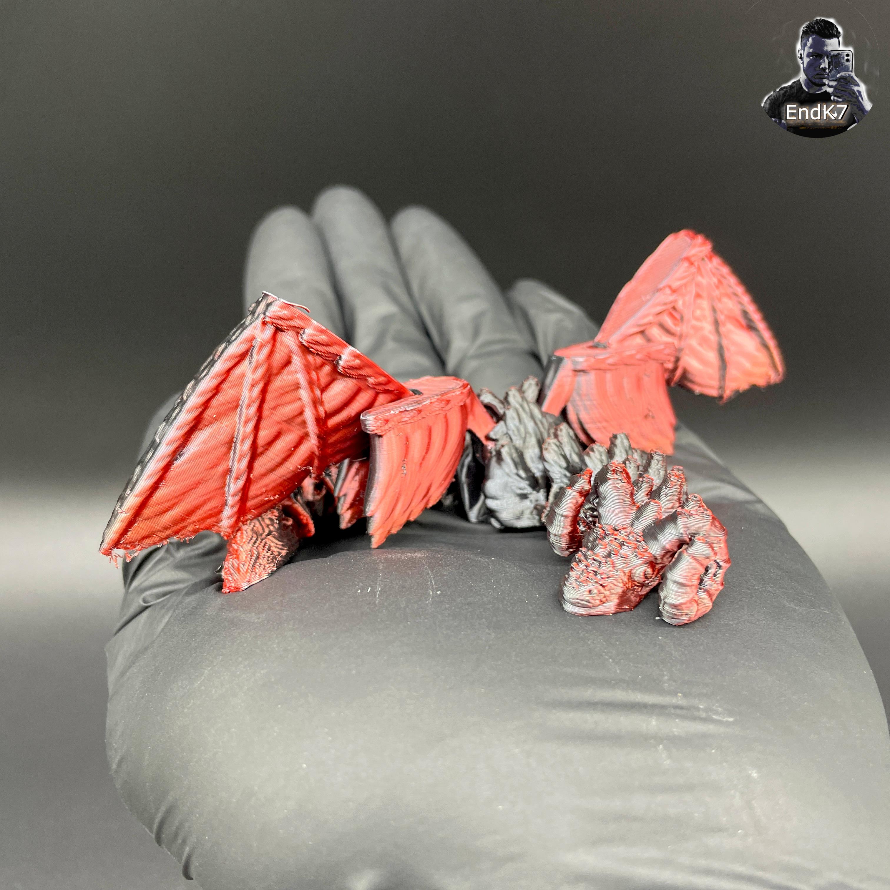 Amphiptere Dragon - winged Serpent - Flexi - Printin Place - No Supports 3d model