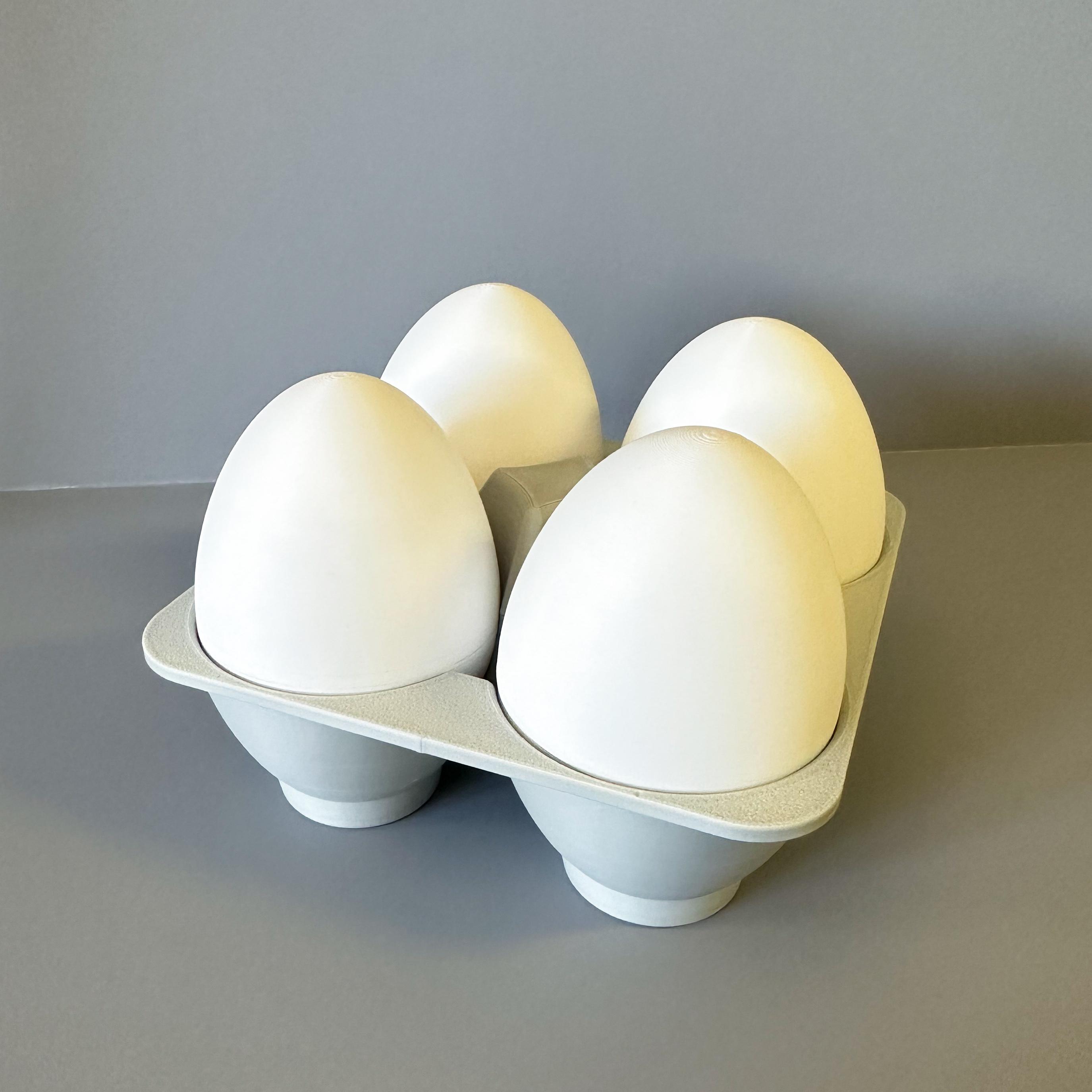 Fidget Fabric Fried Egg Set (play or coaster set) 3d model
