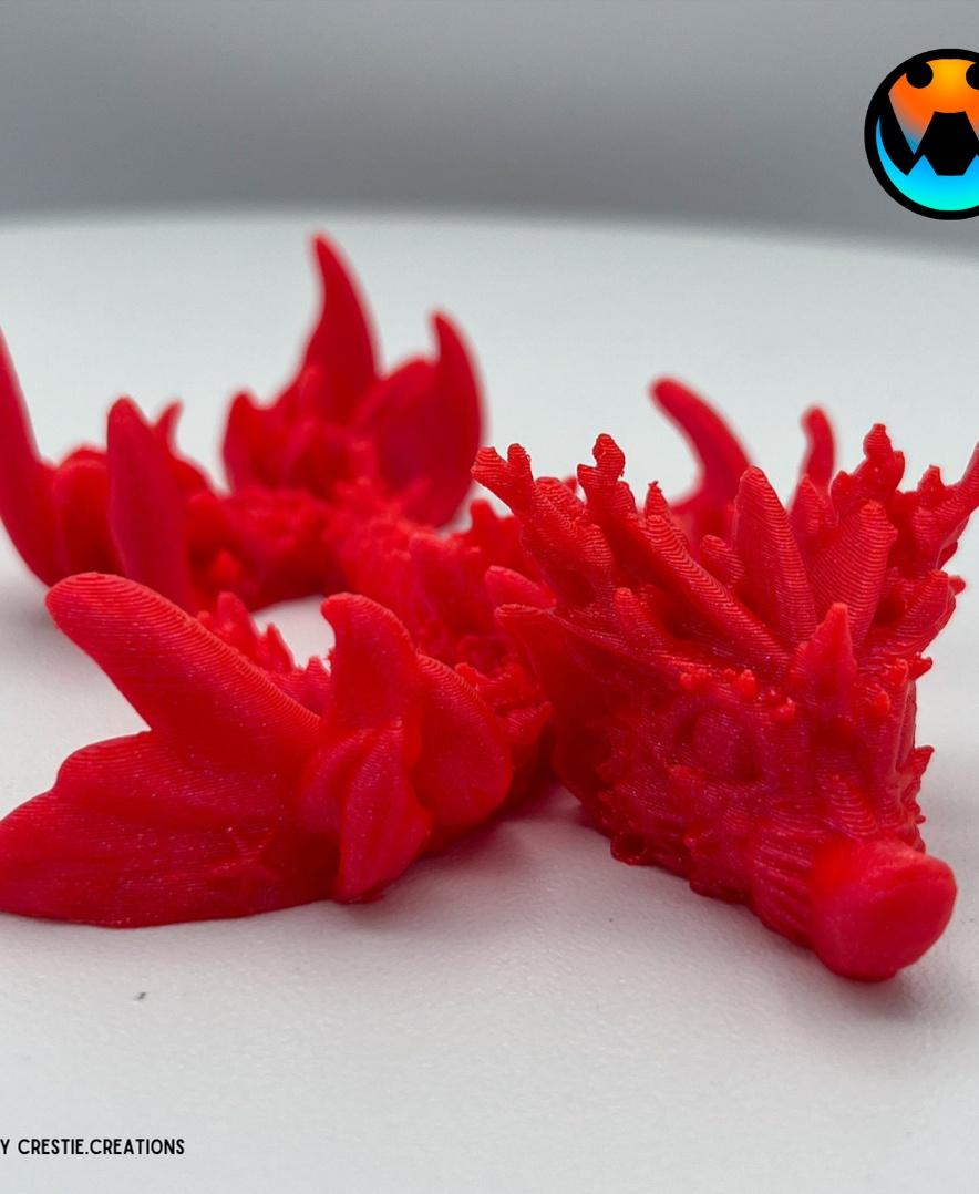 Coral Reef Tadling 3d model