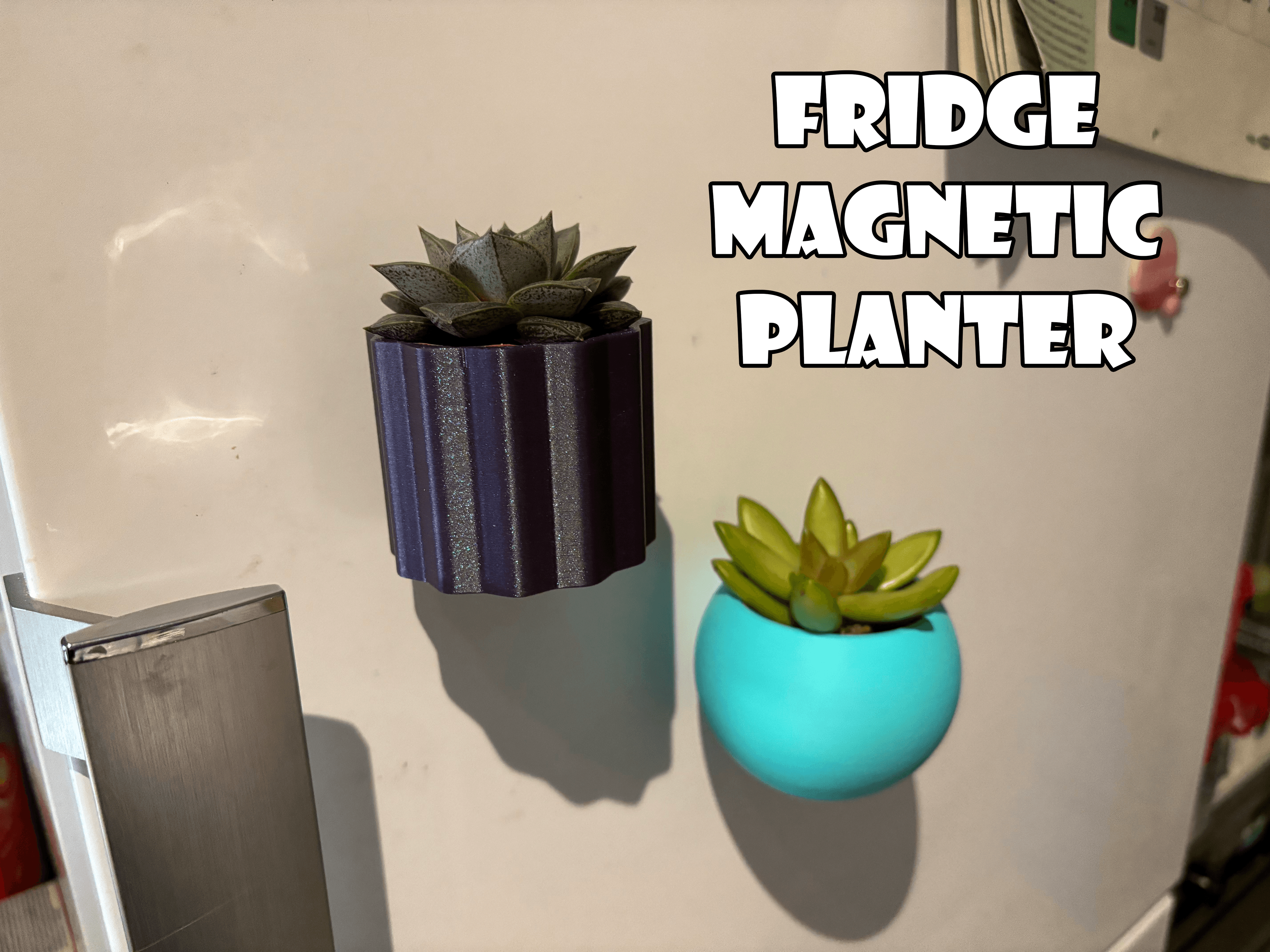 Fridge magnetic planter for succelent plants - 3 3d model