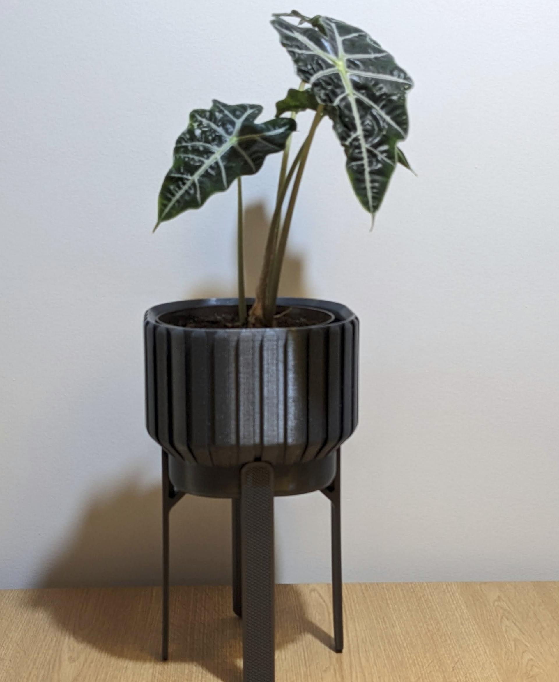 Trinity Plant Pot M  3d model