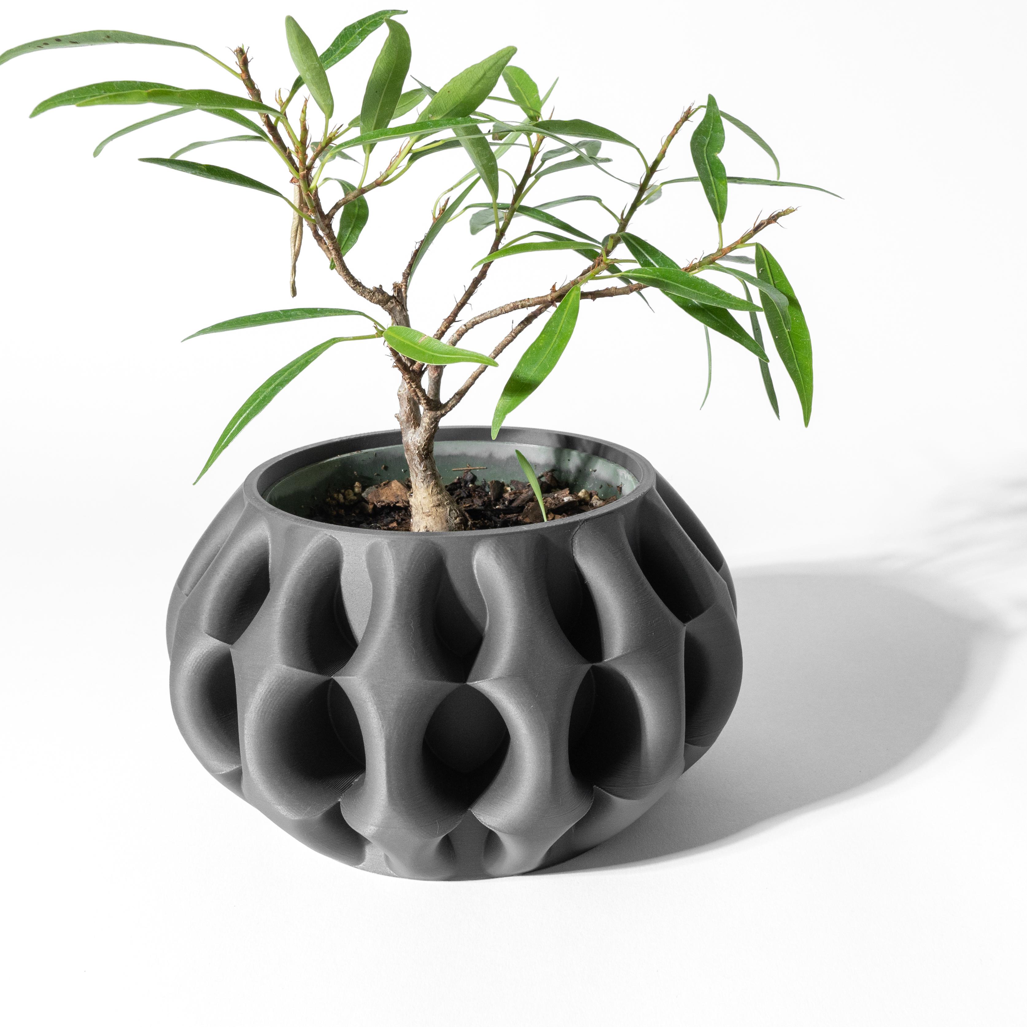 The Xiomu Planter Pot with Drainage Tray & Stand: Modern and Unique Home Decor for Plants 3d model