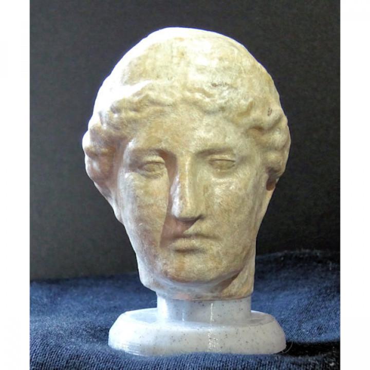 Head of an Olympian Goddess 3d model