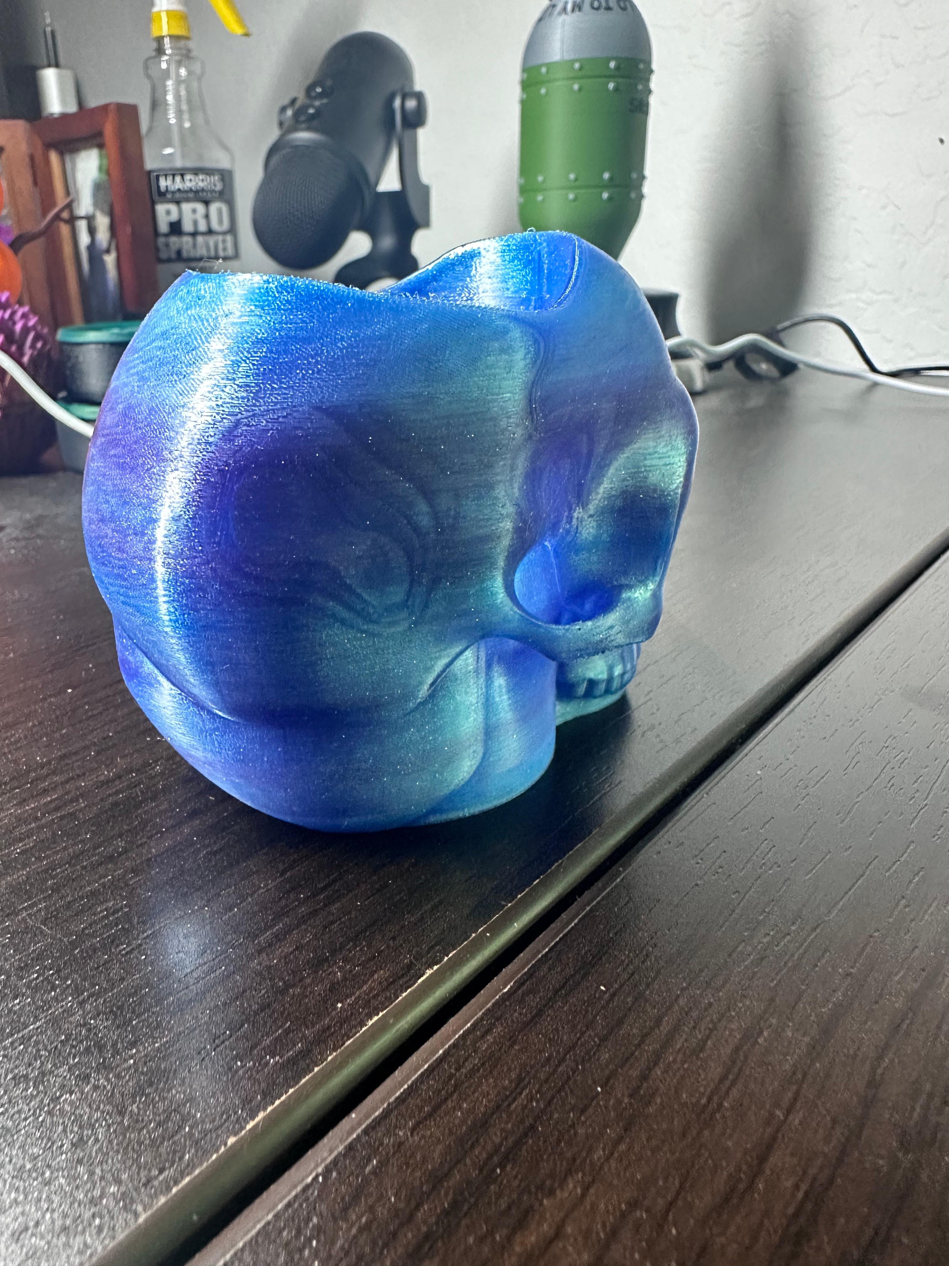 Skull Candy Bowl 3d model