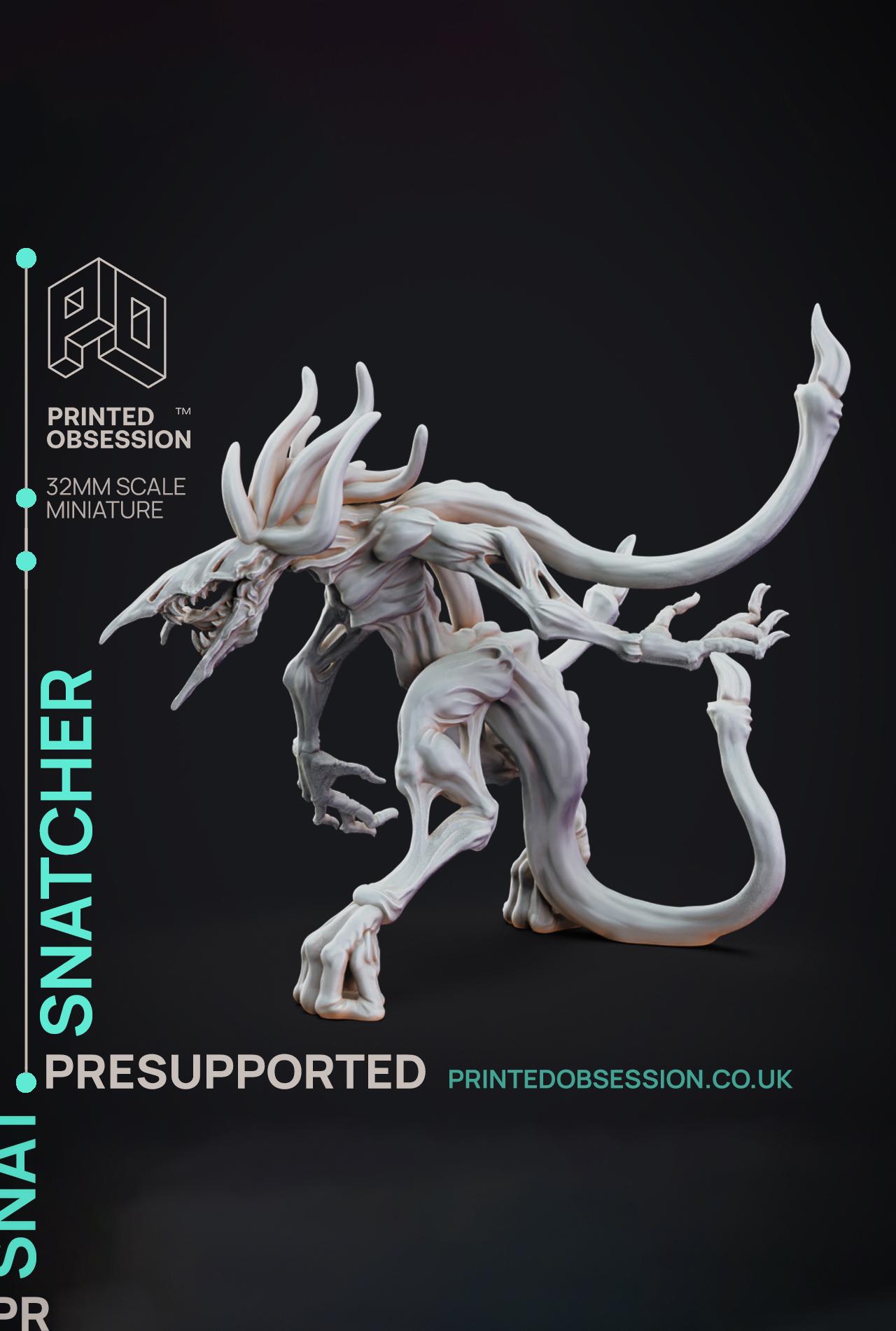 Snatcher - The Mists of Change - PRESUPPORTED - Illustrated and Stats - 32mm scale			 3d model