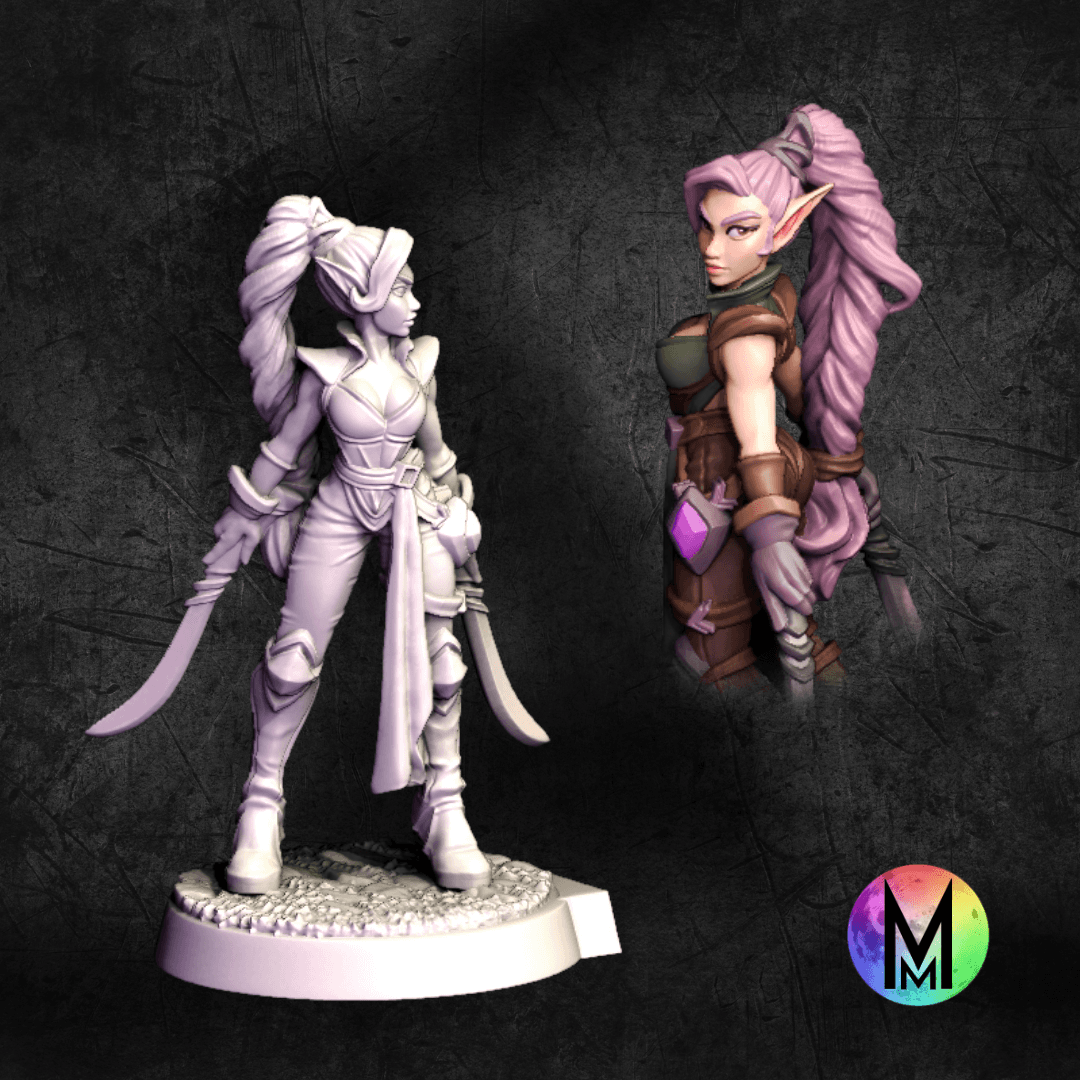 Female Elf Fighter / Ranger - Kaia the Wood Elf Fighter / Ranger (Female elf with two swords ) 3d model