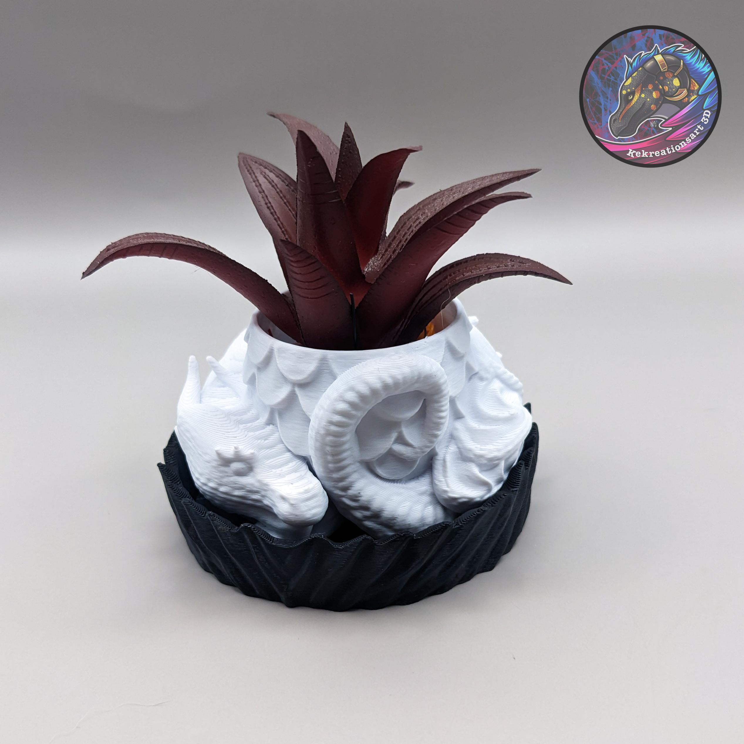 Dragon Planter + Box 3d model