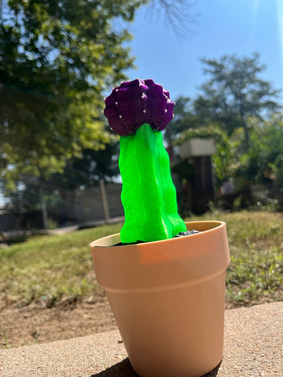 Phoney Cactus - The Moon Cactus Phone Stand - Used Sunlu's Transparent Green, Inland's Sparkling Purple, Inland's Beige, and regular Sunlu matte black. - 3d model