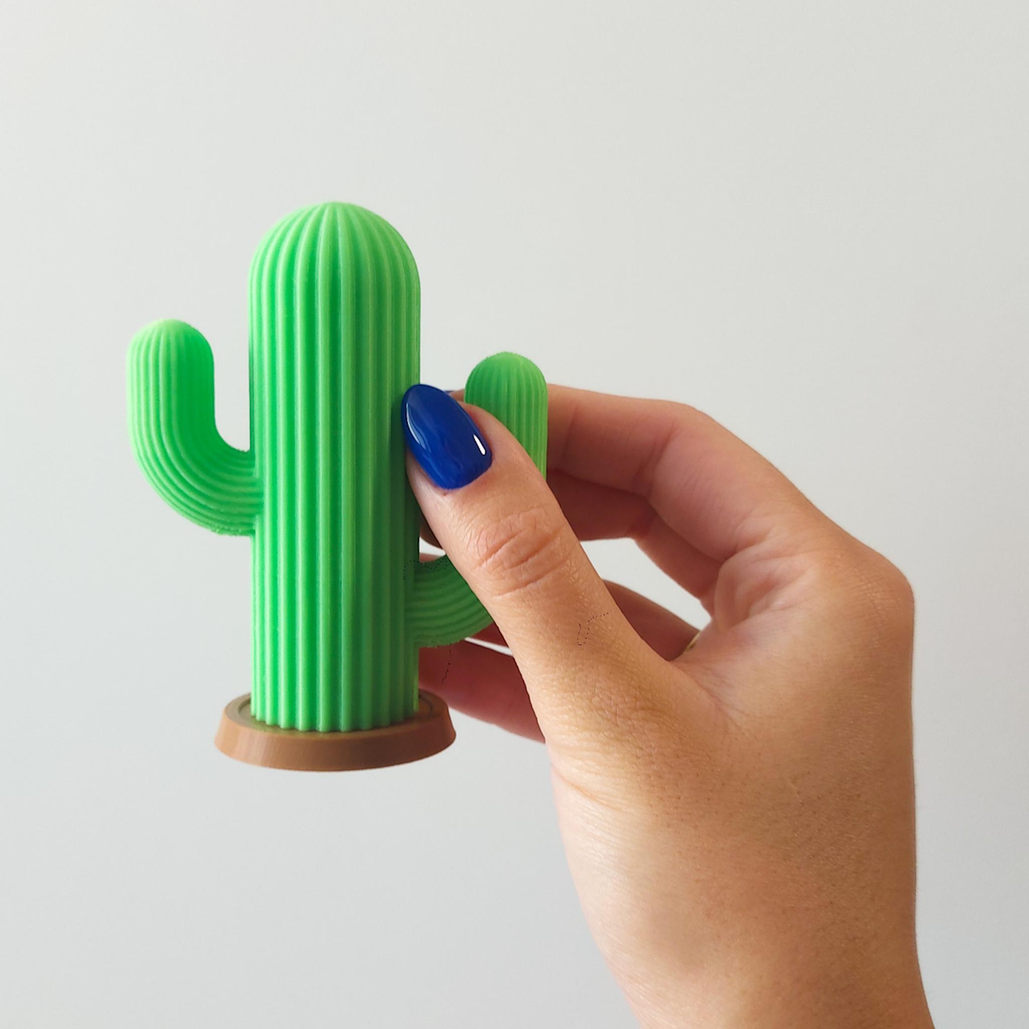 Cactus Toothpick Holder 3d model