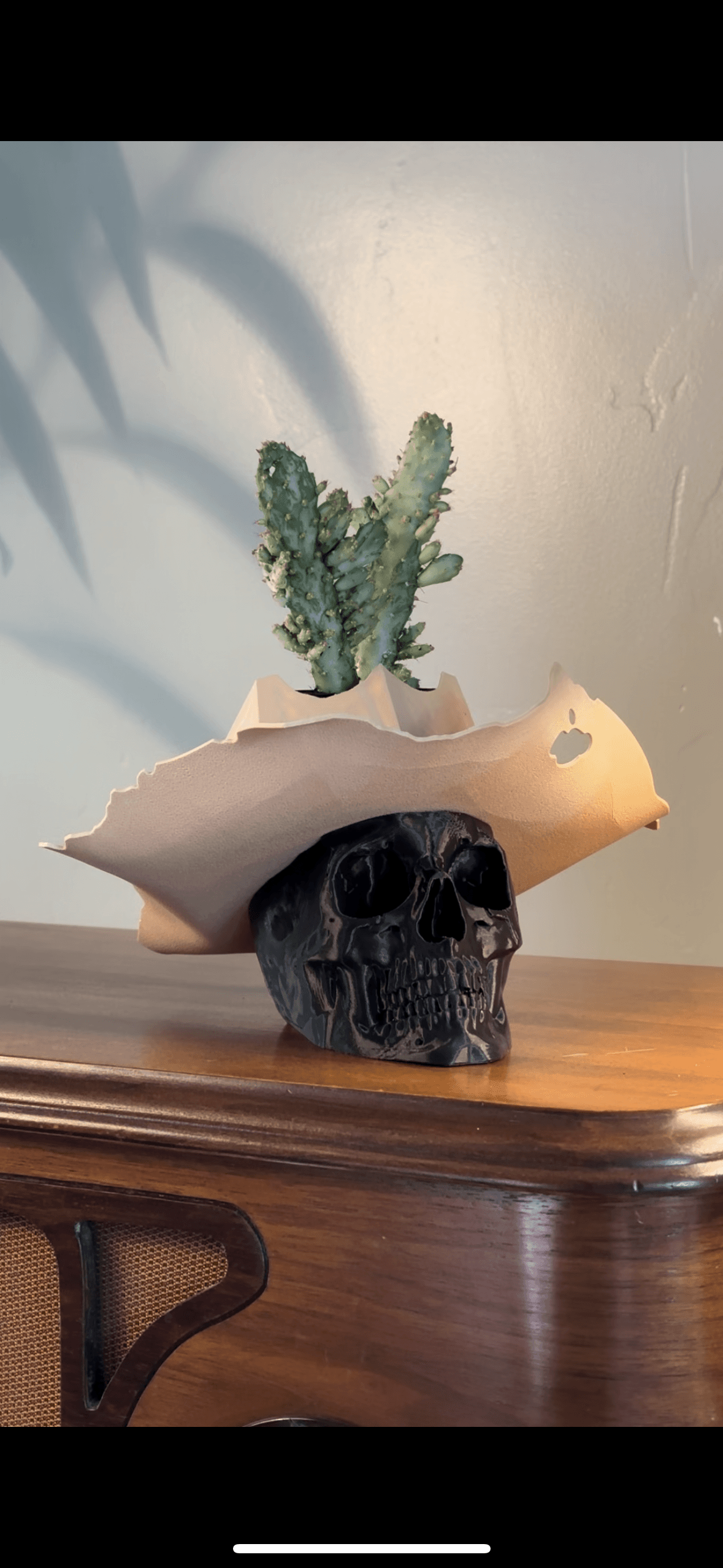 Cowboy Skull Cactus Planter 3d model