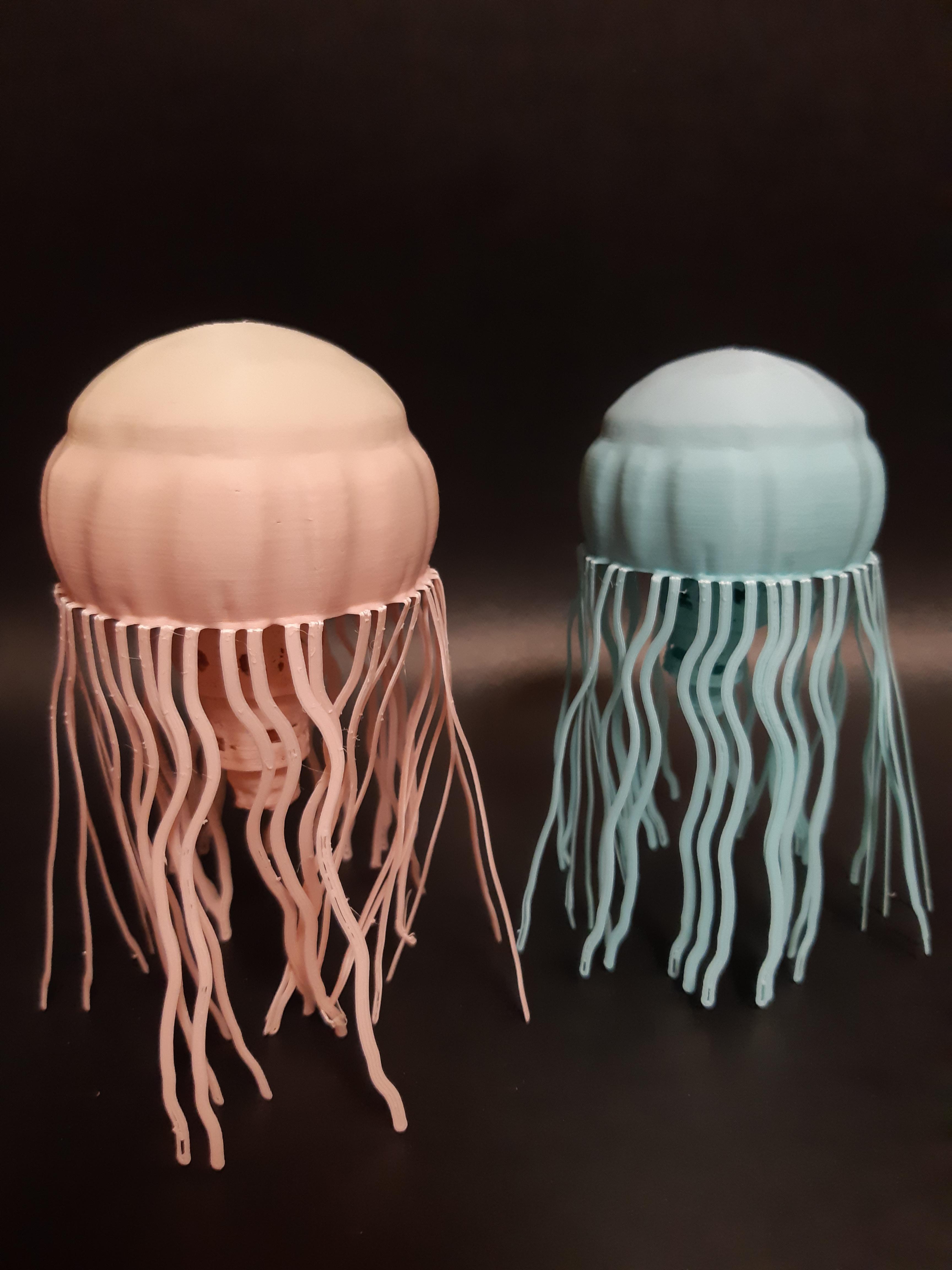 JellyFish Simple Flexi 3d model
