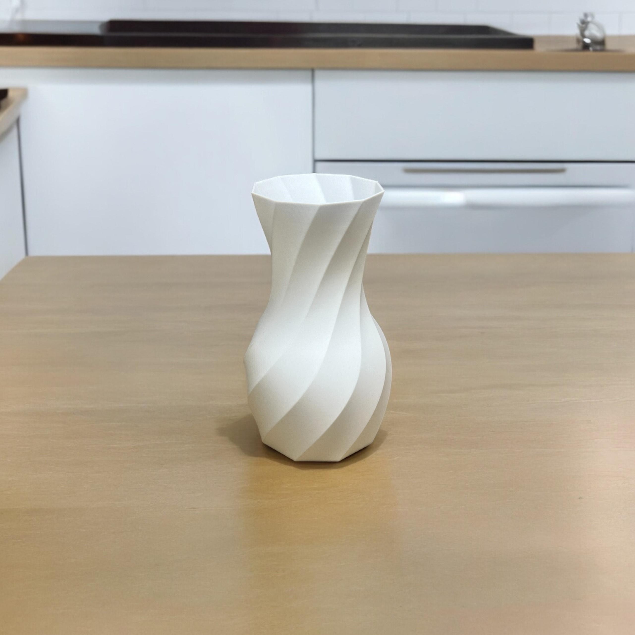 Contemporary Spiral Vase 3d model