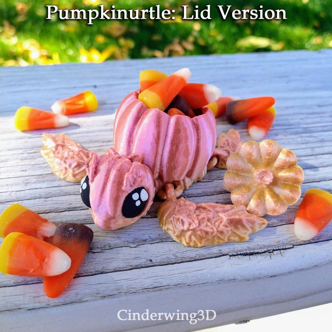 Pumpkinurtle 3d model