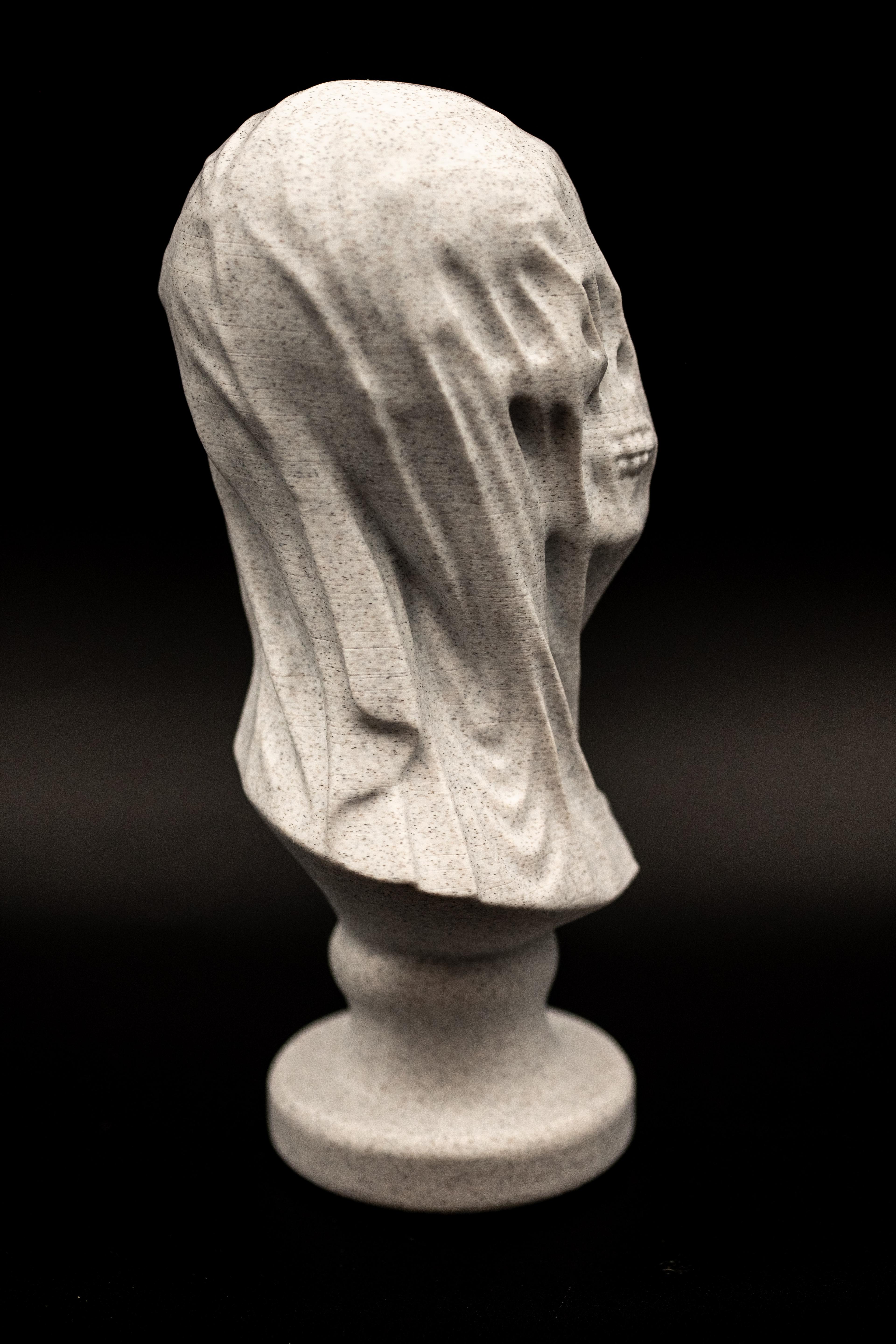 Draped Skull Bust (Pre Supported) Free for Limited Time 3d model