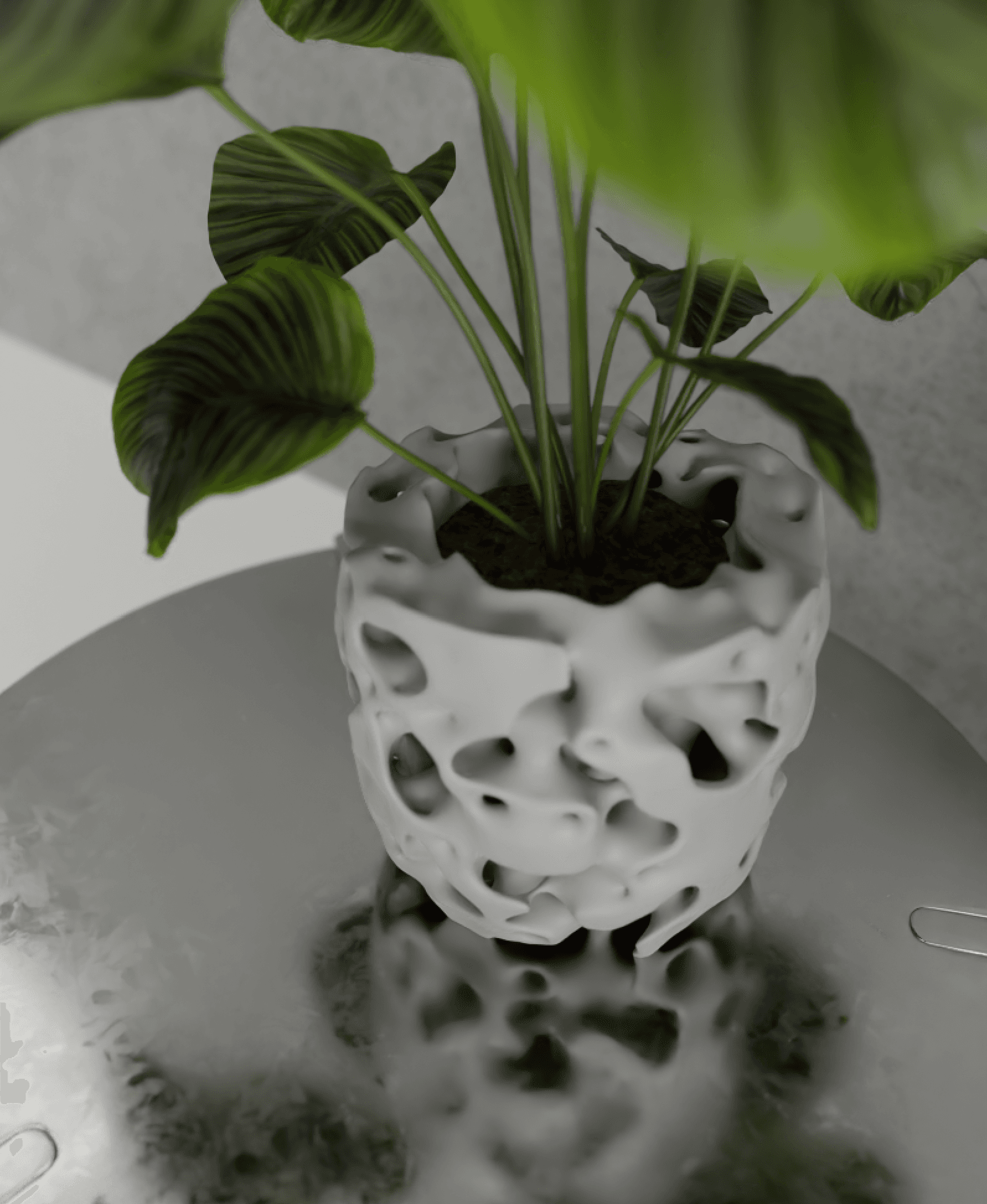 Nest ~ Planter ~ V16 3d model