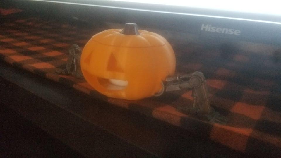 FHW: Pumpkin Frog Bot with lid 3d model