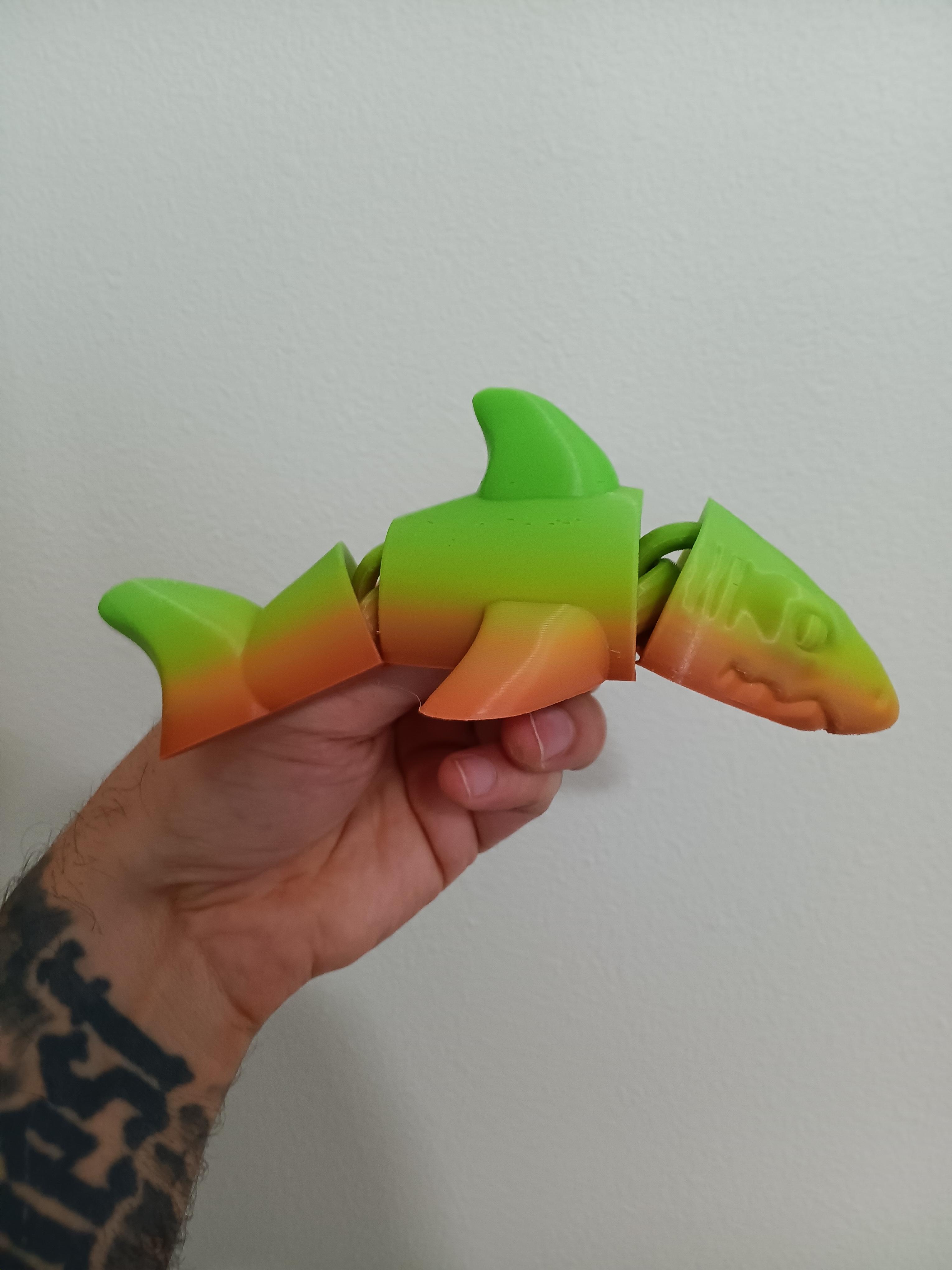 Shark Magnet - flexi fidget toy - articulated - print in place 3d model